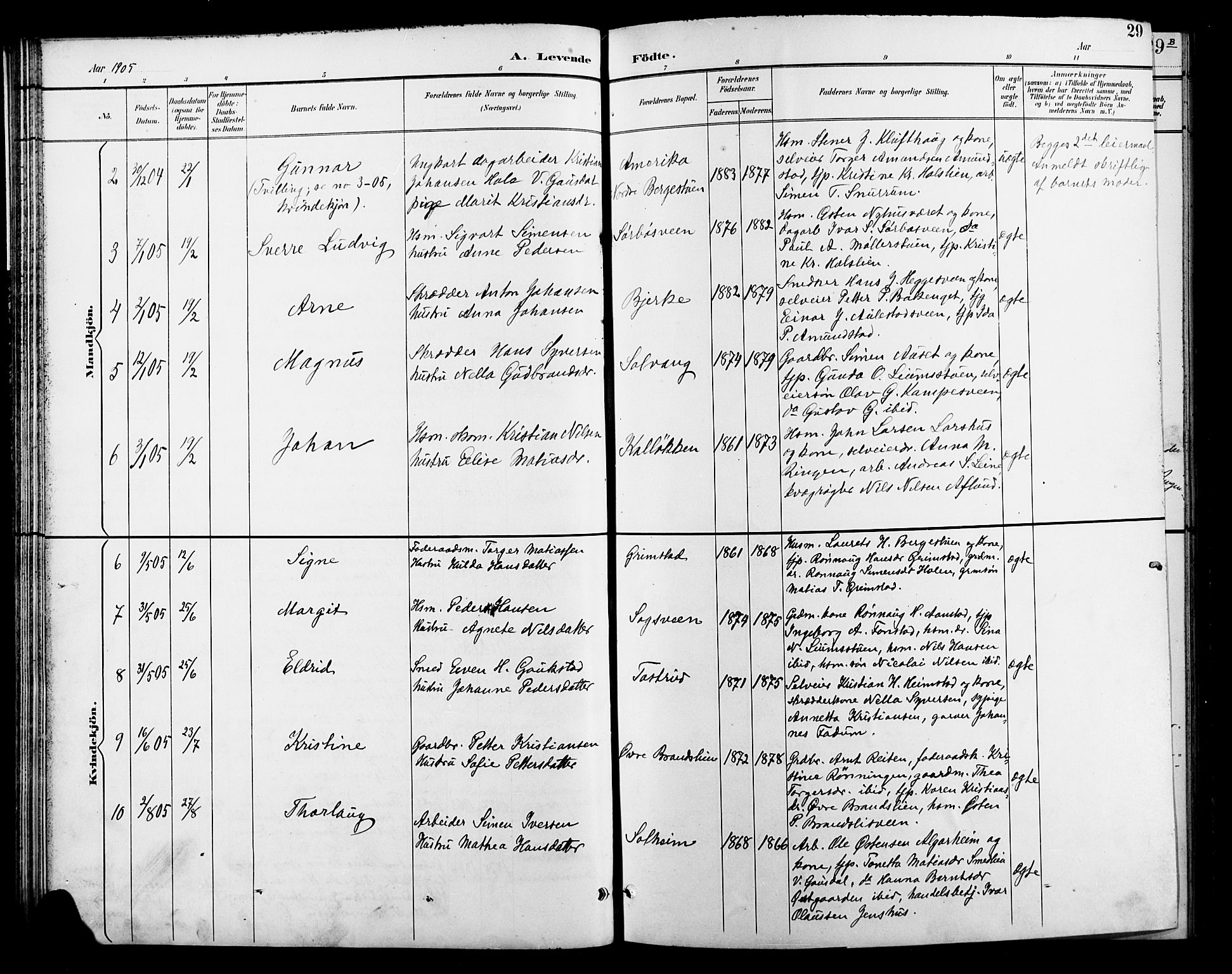 Østre Gausdal prestekontor, AV/SAH-PREST-092/H/Ha/Hab/L0003: Parish register (copy) no. 3, 1894-1915, p. 29