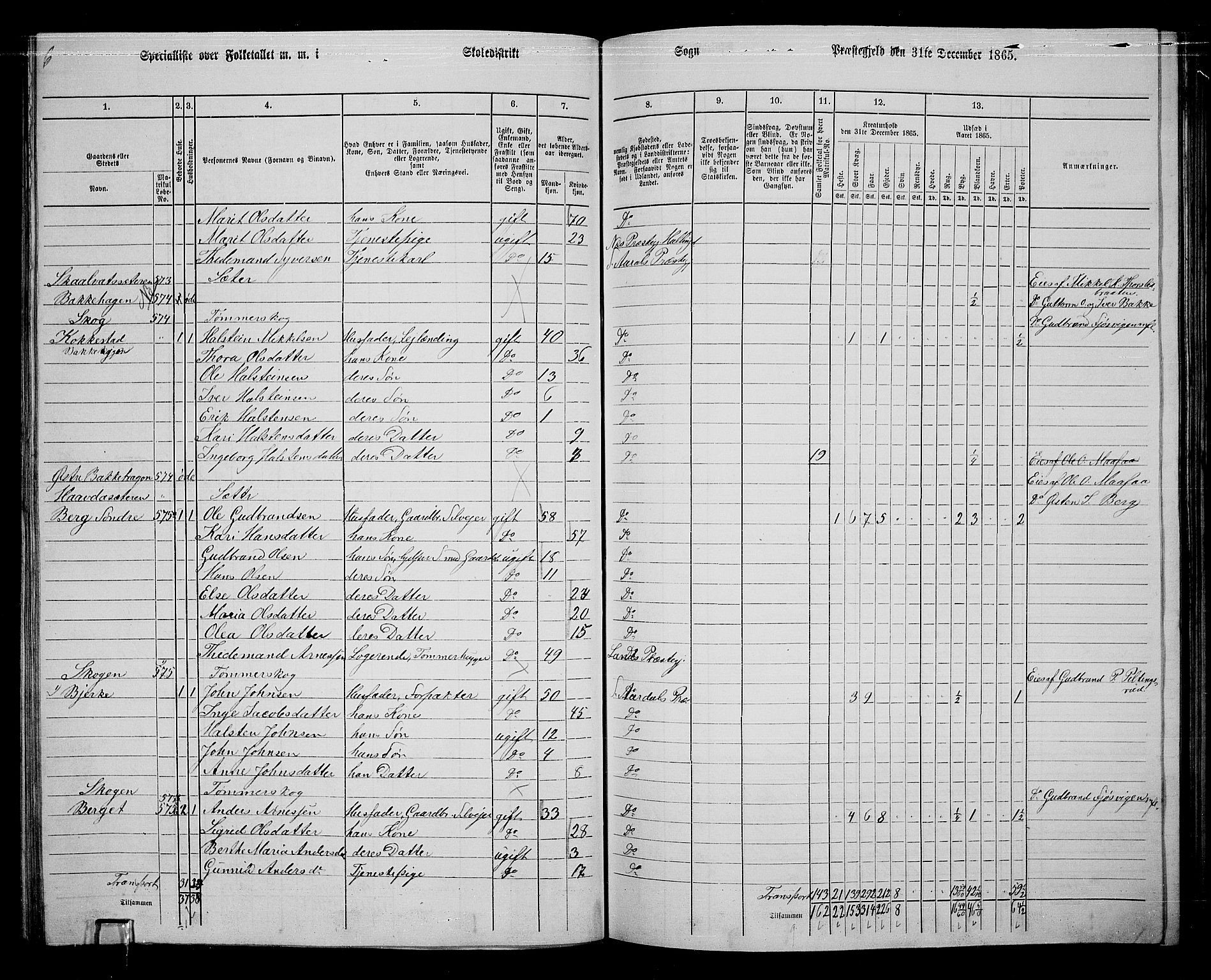 RA, 1865 census for Sør-Aurdal, 1865, p. 150