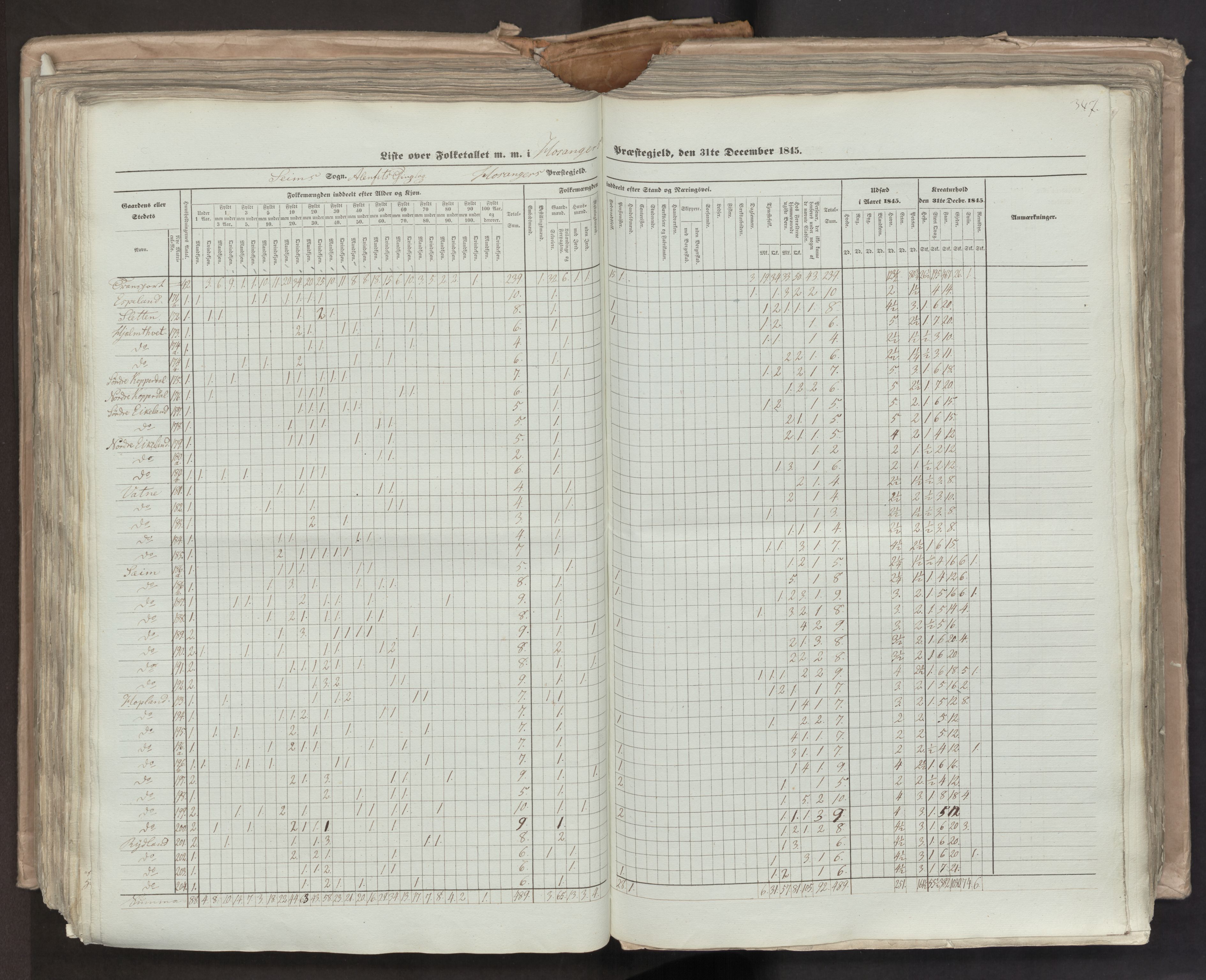 RA, Census 1845, vol. 7: Søndre Bergenhus amt og Nordre Bergenhus amt, 1845, p. 347