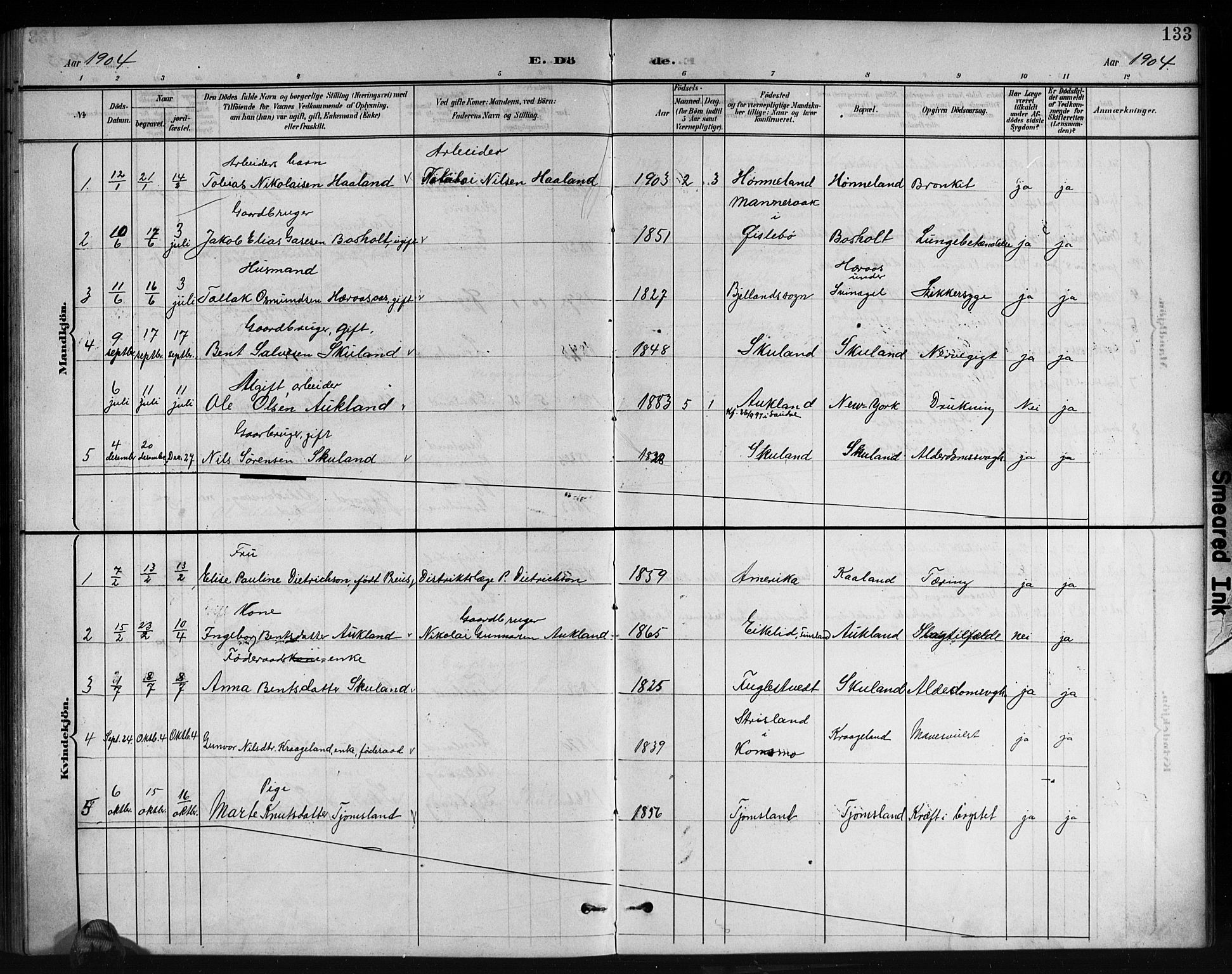 Holum sokneprestkontor, SAK/1111-0022/F/Fb/Fbb/L0004: Parish register (copy) no. B 4, 1899-1920, p. 133