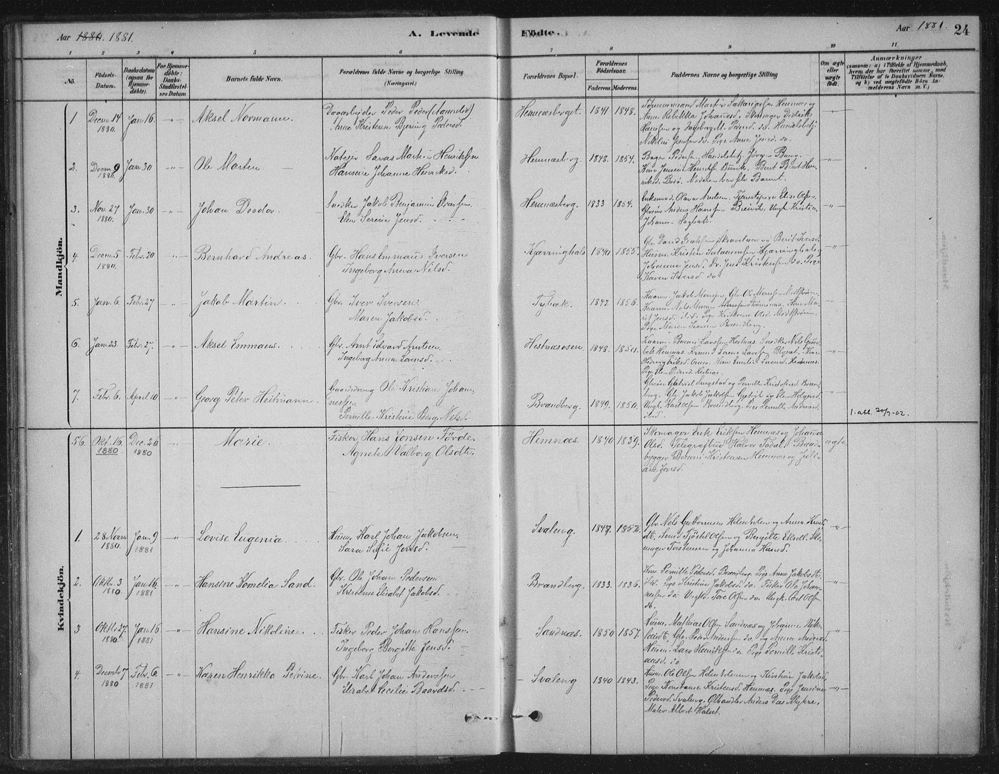 Ministerialprotokoller, klokkerbøker og fødselsregistre - Nordland, AV/SAT-A-1459/825/L0361: Parish register (official) no. 825A15, 1878-1893, p. 24