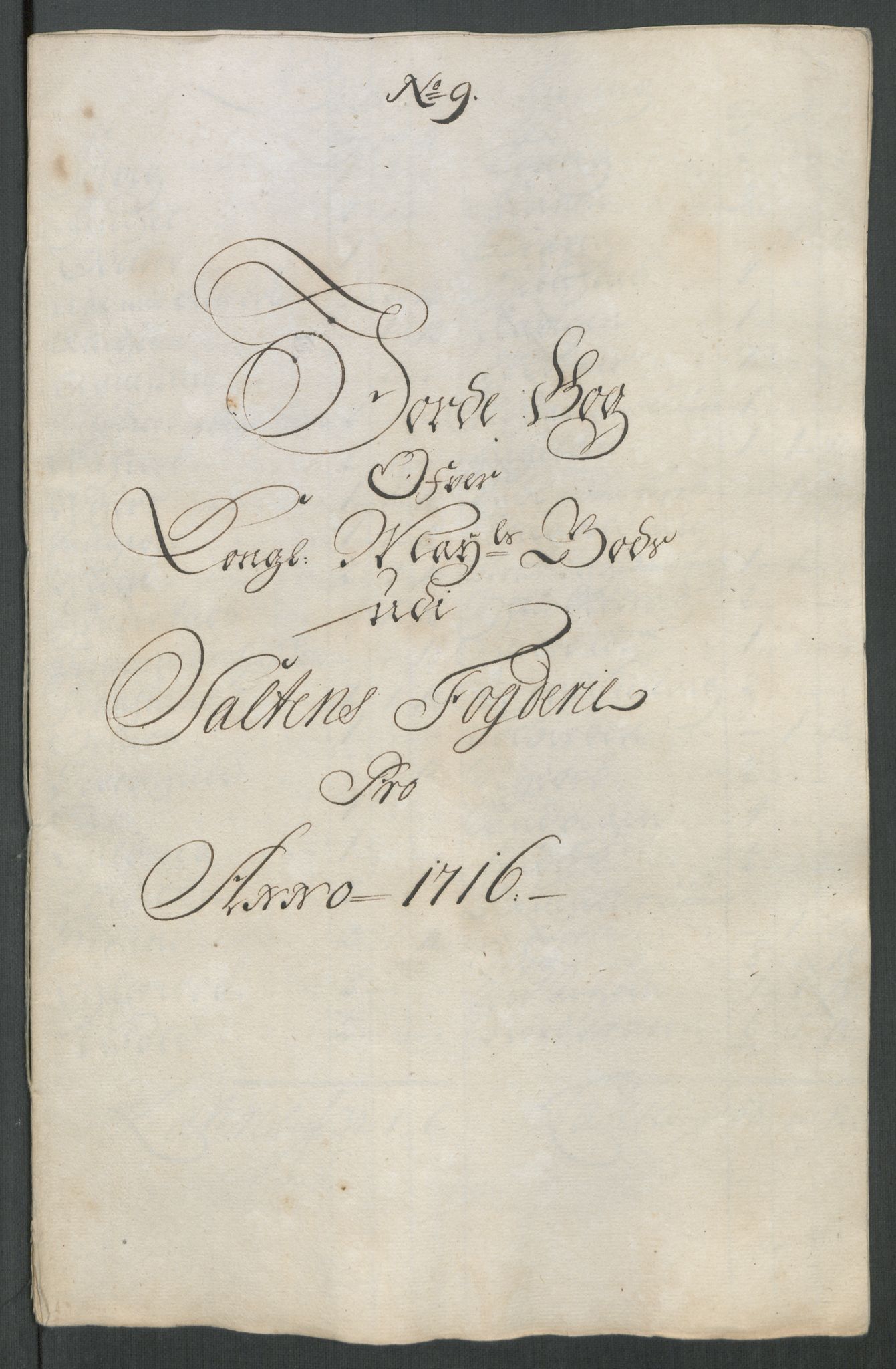 Rentekammeret inntil 1814, Reviderte regnskaper, Fogderegnskap, RA/EA-4092/R66/L4586: Fogderegnskap Salten, 1716, p. 132