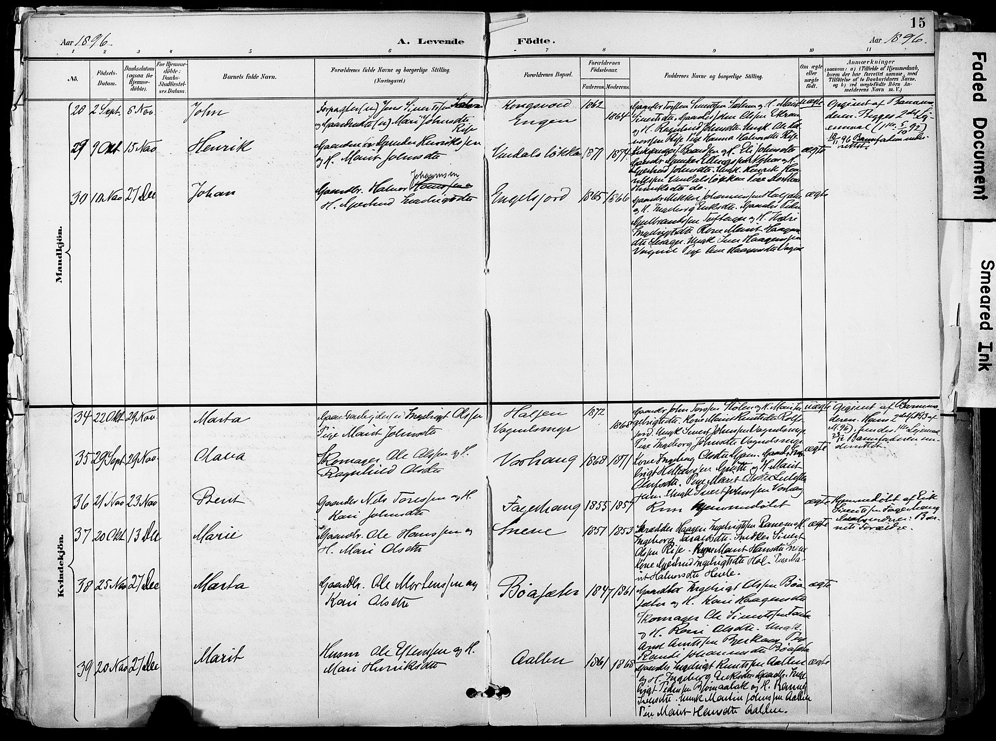 Ministerialprotokoller, klokkerbøker og fødselsregistre - Sør-Trøndelag, AV/SAT-A-1456/678/L0902: Parish register (official) no. 678A11, 1895-1911, p. 15