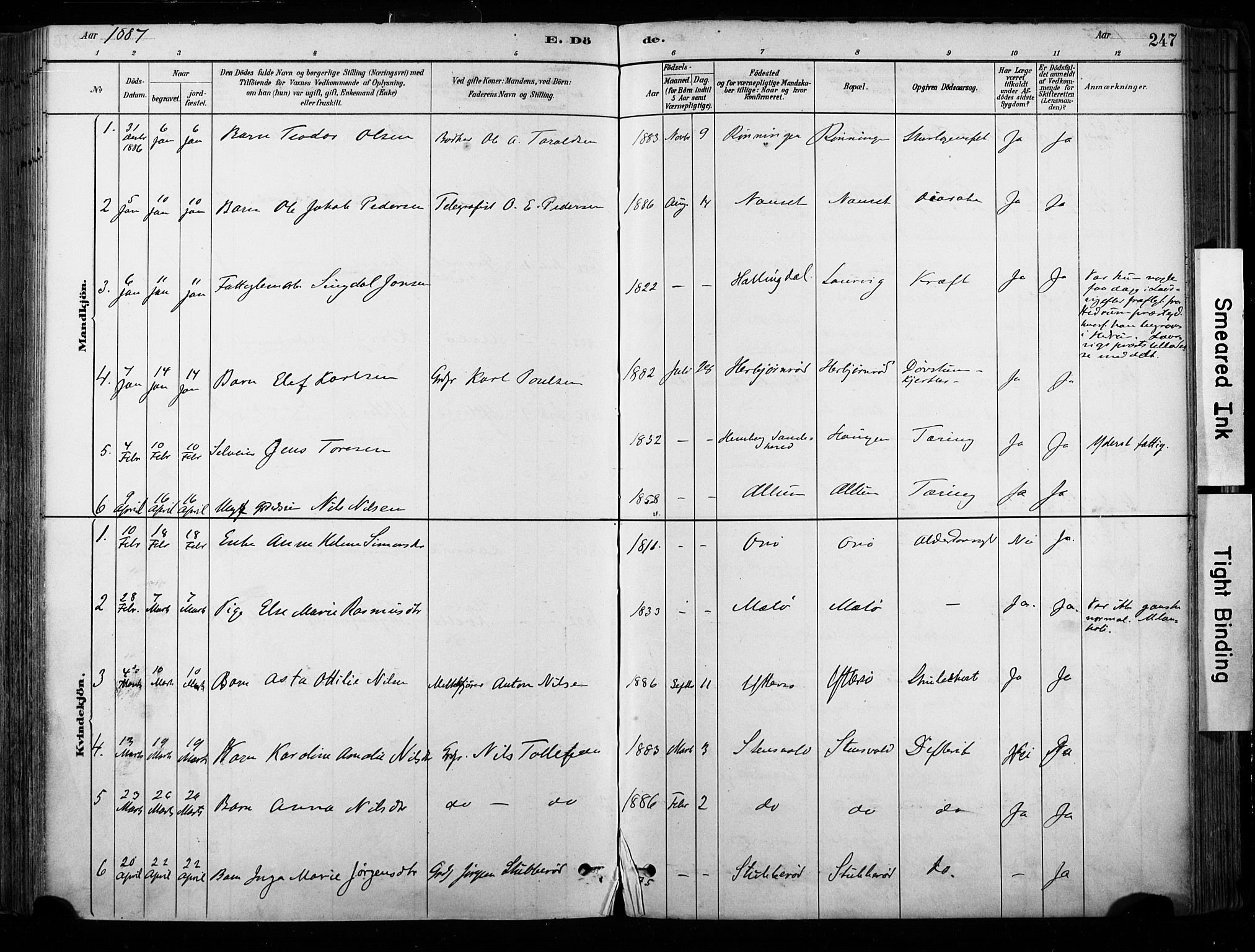 Hedrum kirkebøker, SAKO/A-344/F/Fa/L0009: Parish register (official) no. I 9, 1881-1903, p. 247