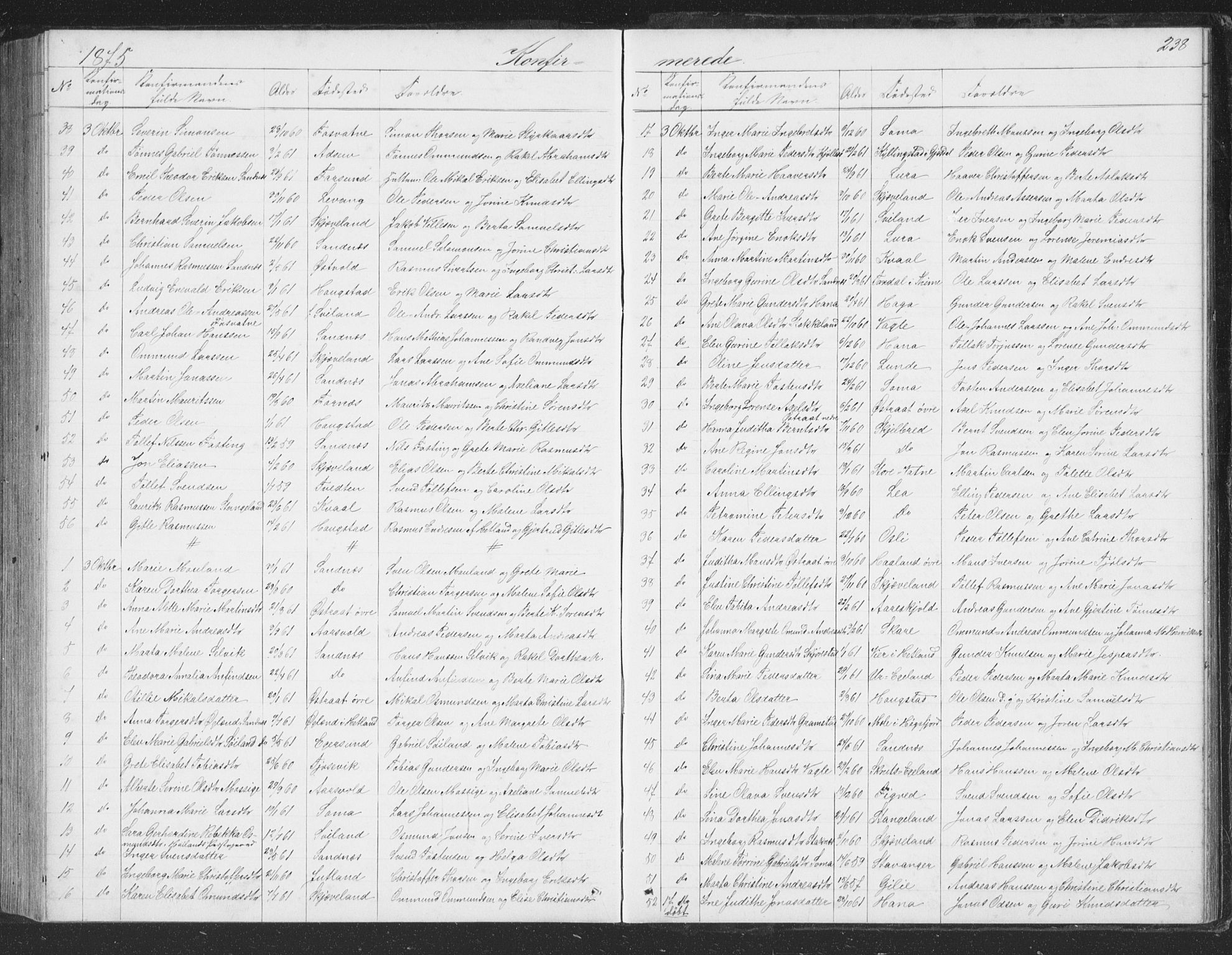 Høyland sokneprestkontor, SAST/A-101799/001/30BB/L0002: Parish register (copy) no. B 2, 1874-1886, p. 238