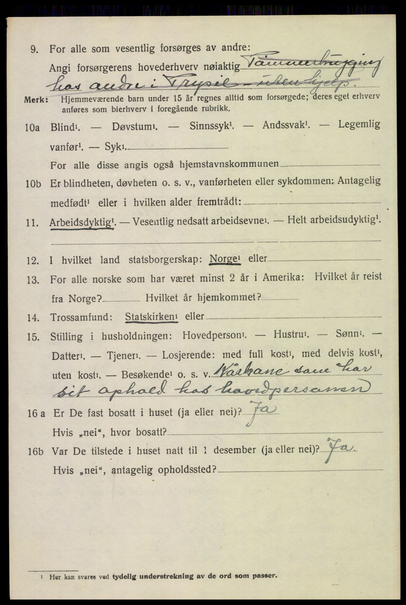 SAH, 1920 census for Trysil, 1920, p. 16152