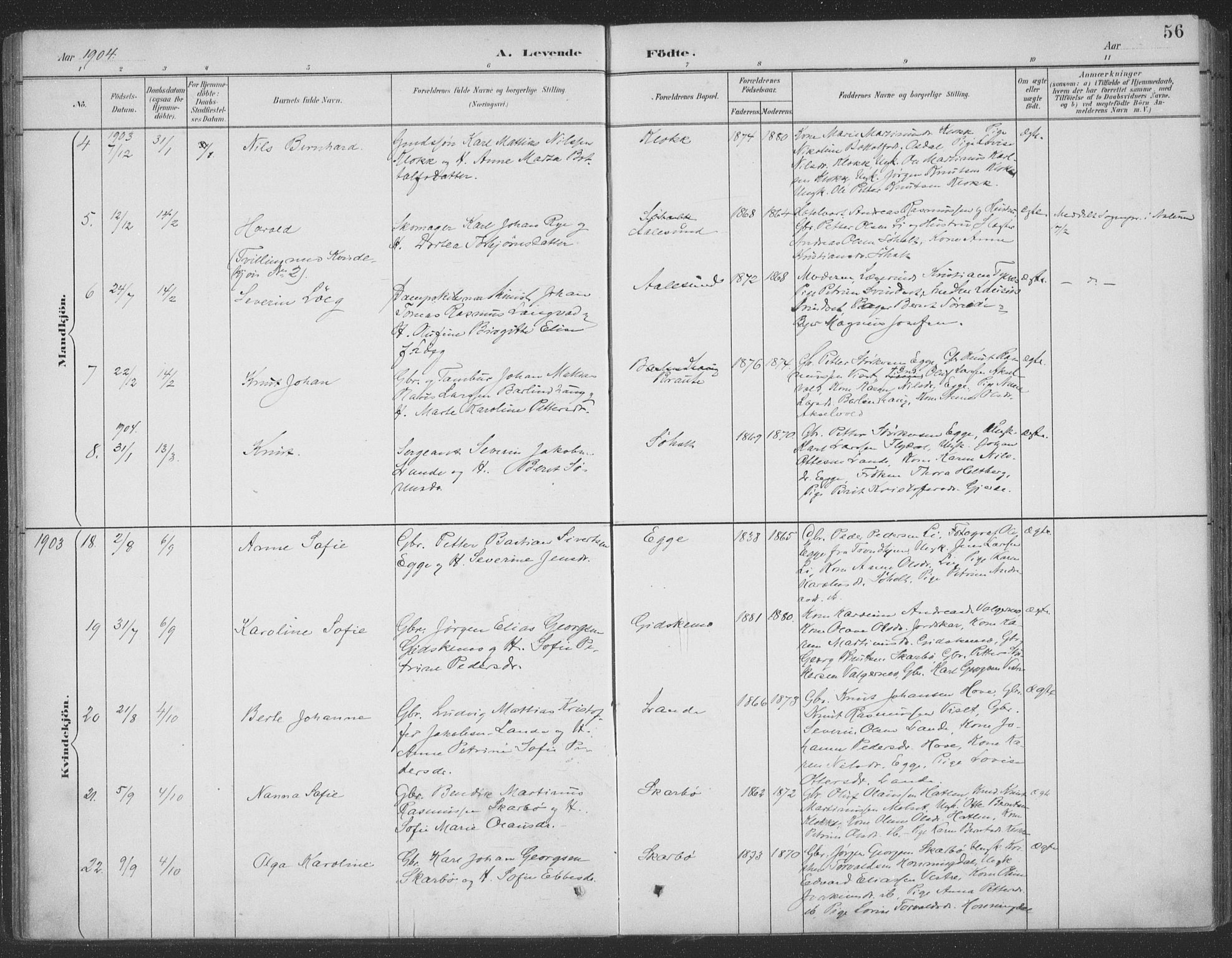 Ministerialprotokoller, klokkerbøker og fødselsregistre - Møre og Romsdal, AV/SAT-A-1454/522/L0316: Parish register (official) no. 522A11, 1890-1911, p. 56