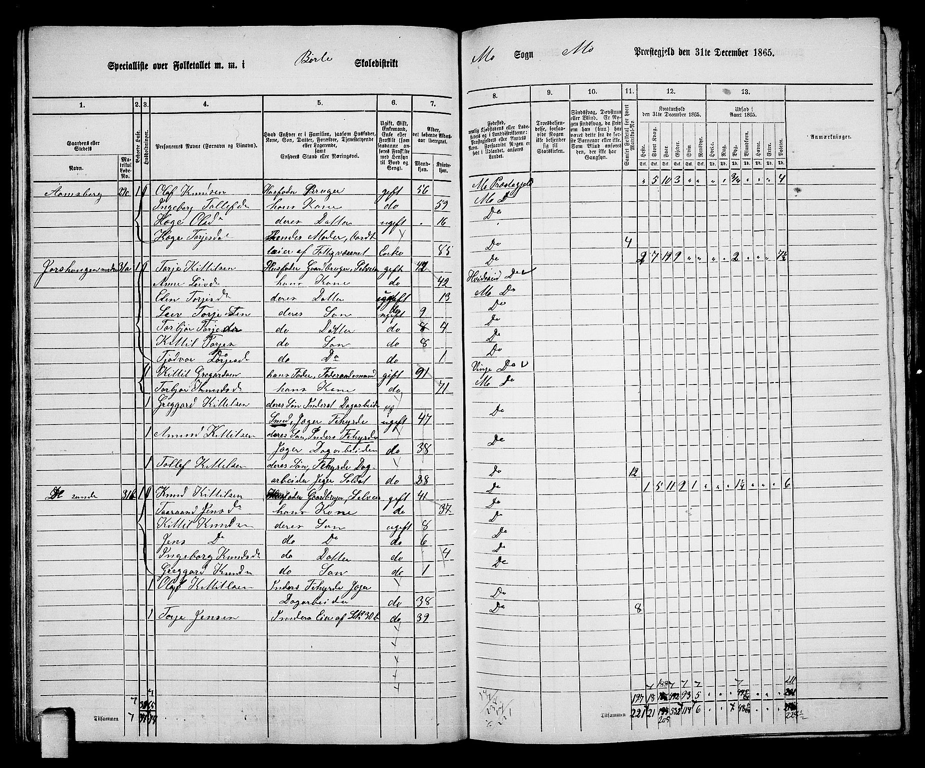 RA, 1865 census for Mo, 1865, p. 46