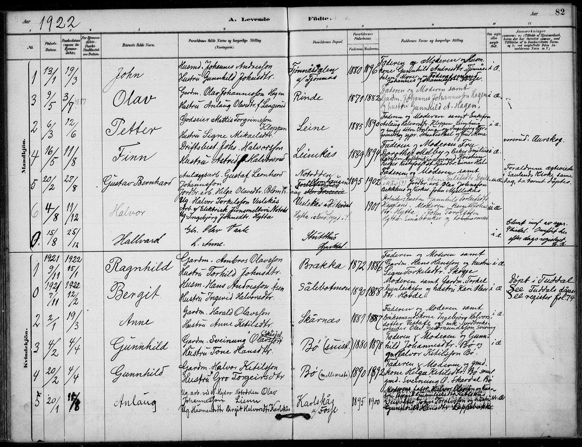 Hjartdal kirkebøker, AV/SAKO-A-270/F/Fb/L0002: Parish register (official) no. II 2, 1880-1932, p. 82