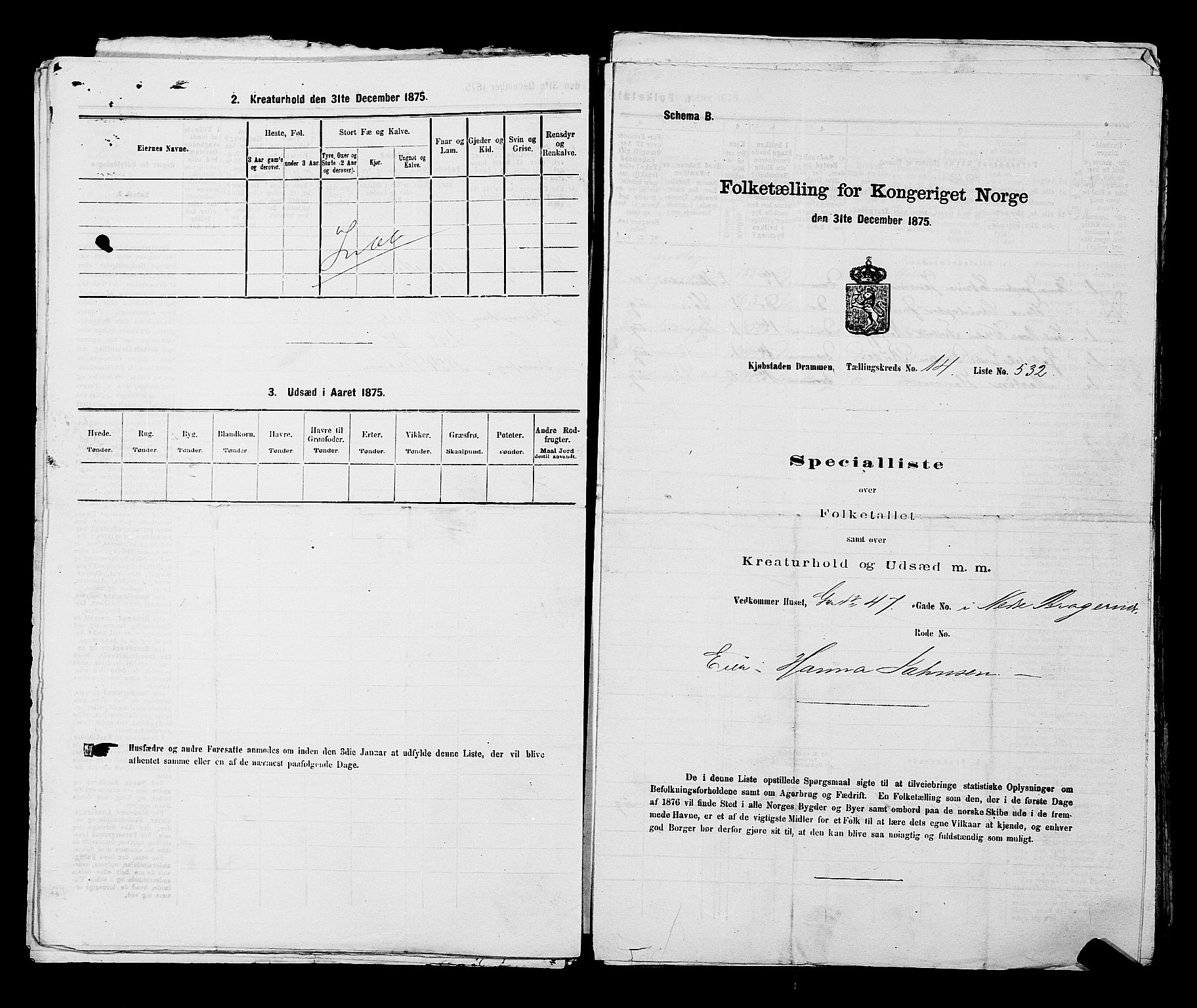 SAKO, 1875 census for 0602 Drammen, 1875, p. 1505