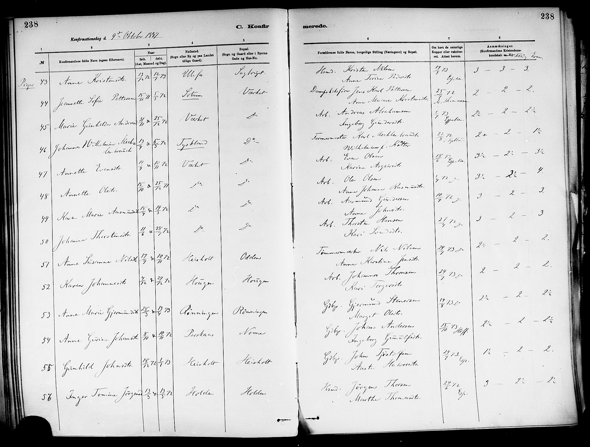 Holla kirkebøker, SAKO/A-272/F/Fa/L0008: Parish register (official) no. 8, 1882-1897, p. 238