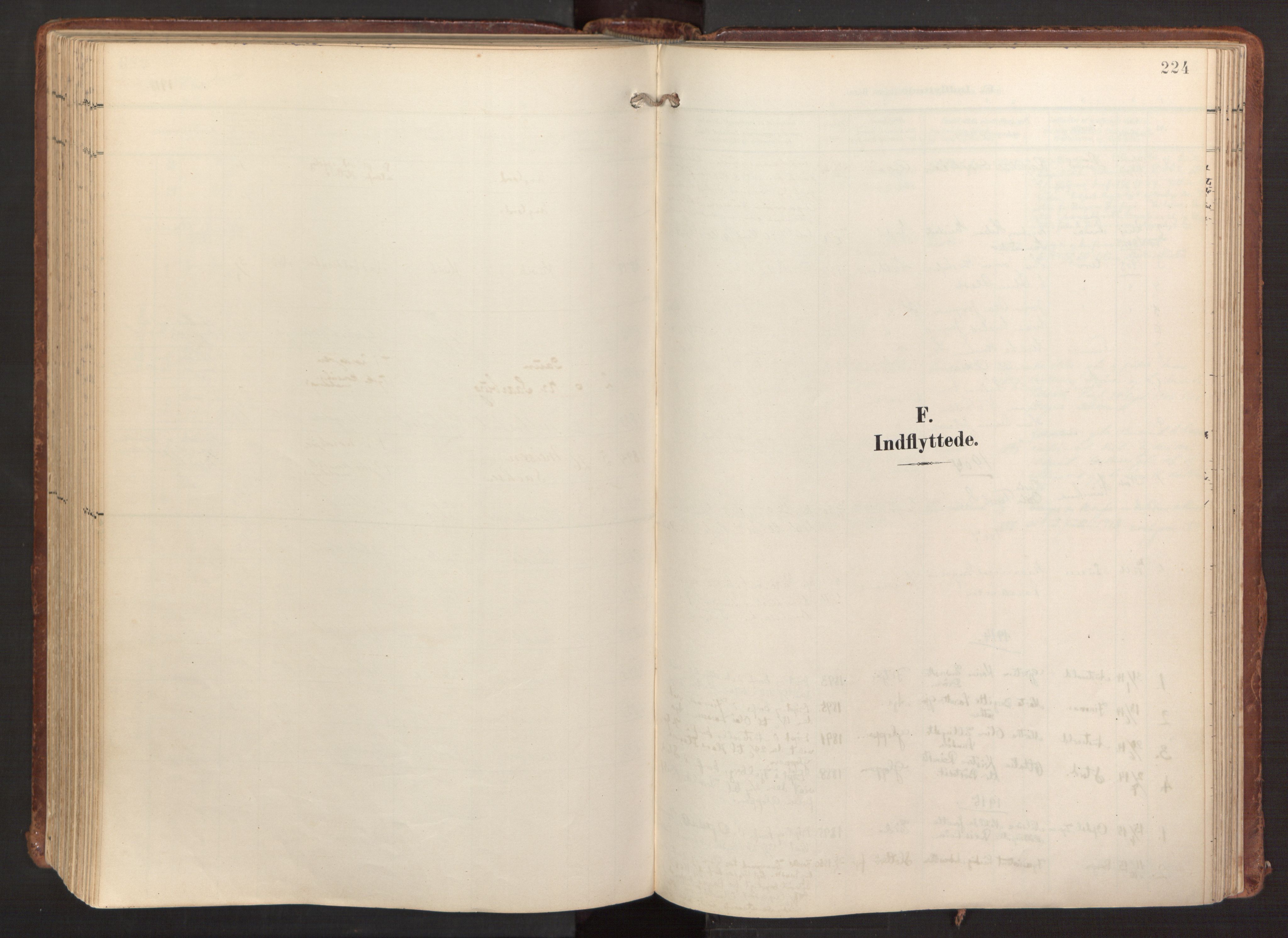 Fitjar sokneprestembete, SAB/A-99926: Parish register (official) no. A 3, 1900-1918, p. 224