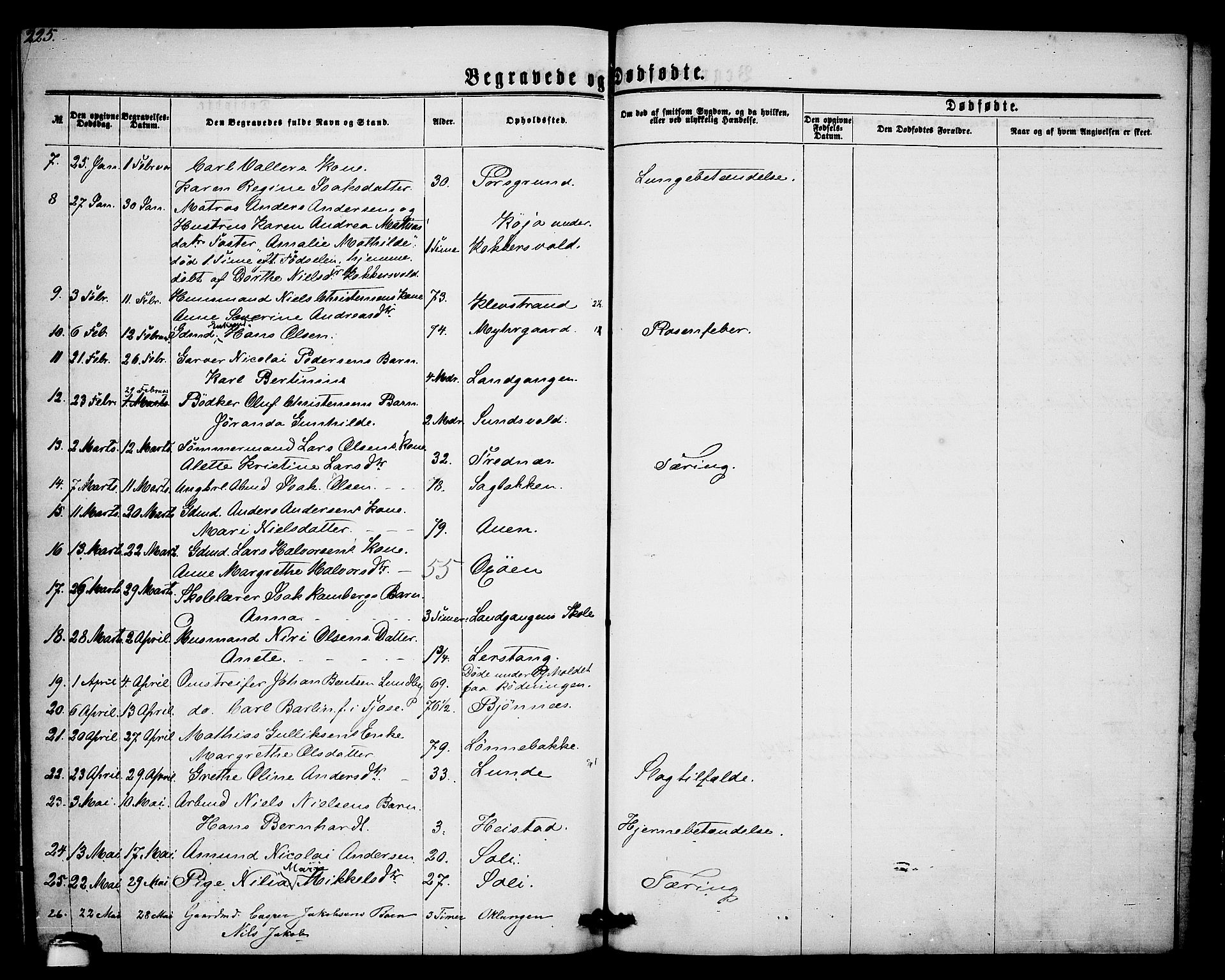 Eidanger kirkebøker, AV/SAKO-A-261/G/Ga/L0001: Parish register (copy) no. 1, 1863-1878, p. 225
