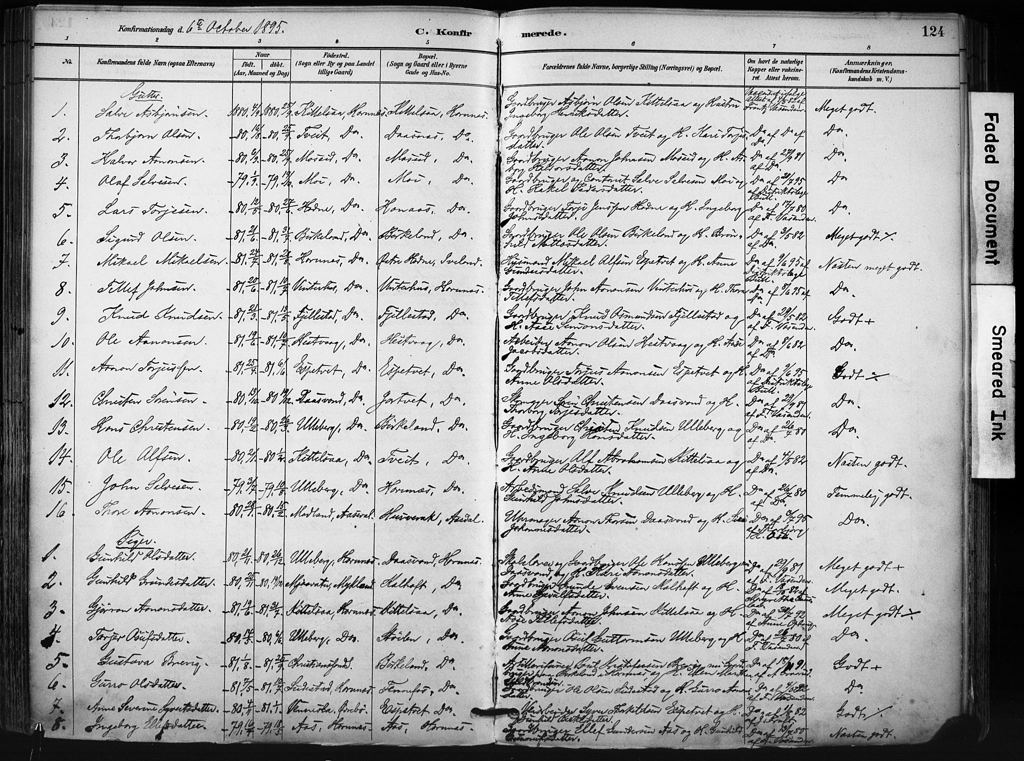 Evje sokneprestkontor, SAK/1111-0008/F/Fa/Fab/L0003: Parish register (official) no. A 3, 1884-1909, p. 124
