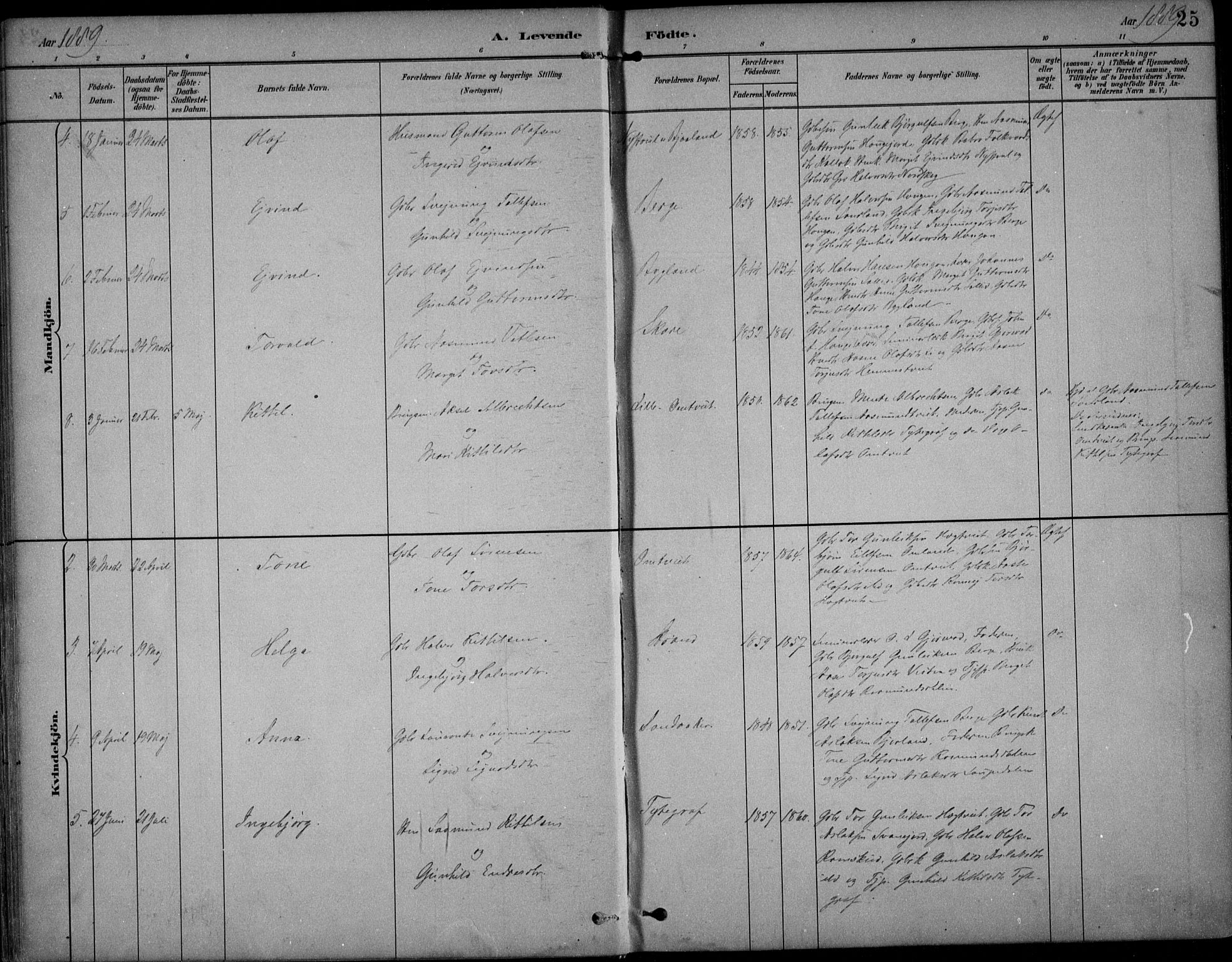 Kviteseid kirkebøker, SAKO/A-276/F/Fb/L0002: Parish register (official) no. II 2, 1882-1916, p. 25