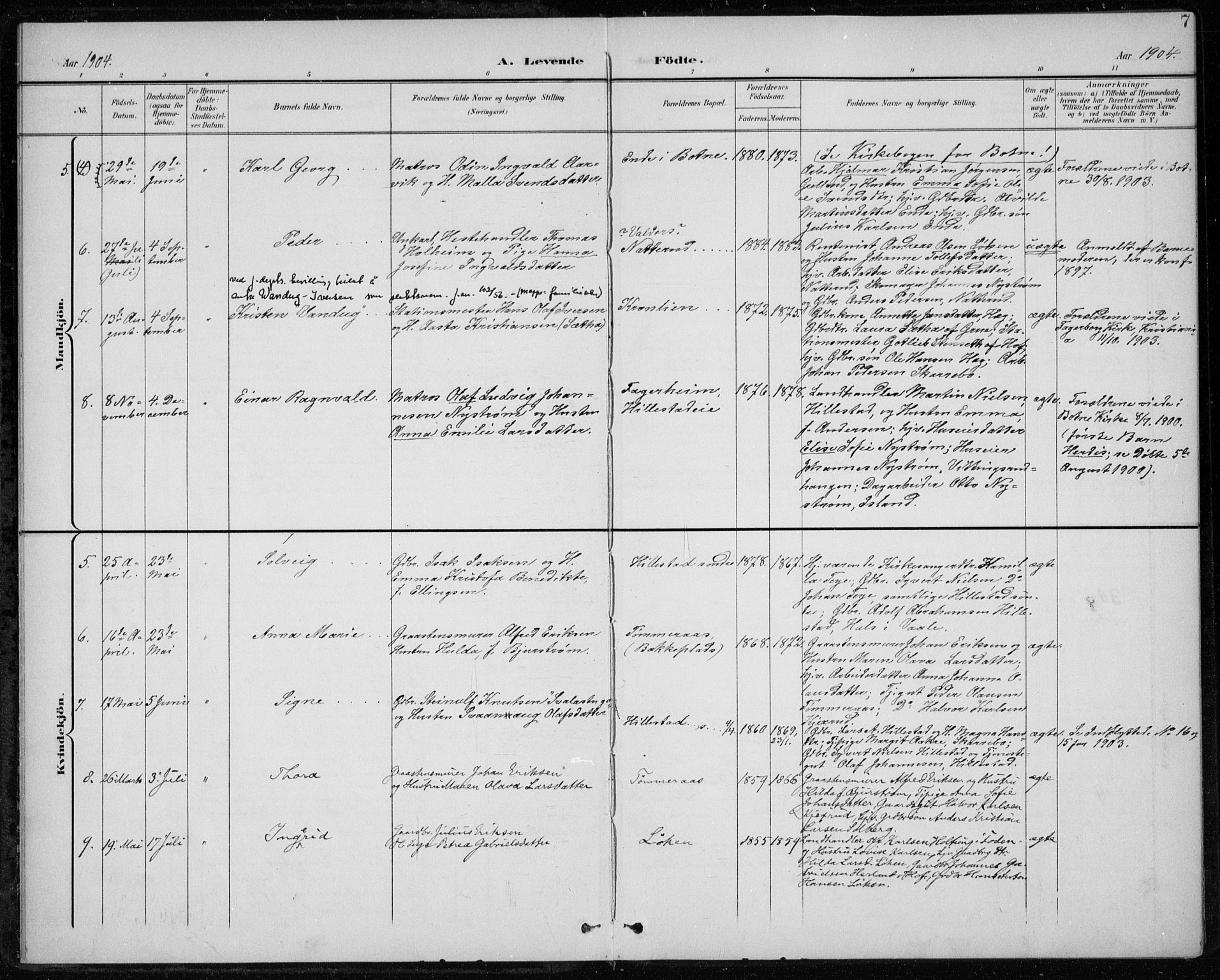 Botne kirkebøker, AV/SAKO-A-340/F/Fb/L0002: Parish register (official) no. II 2, 1902-1915, p. 7