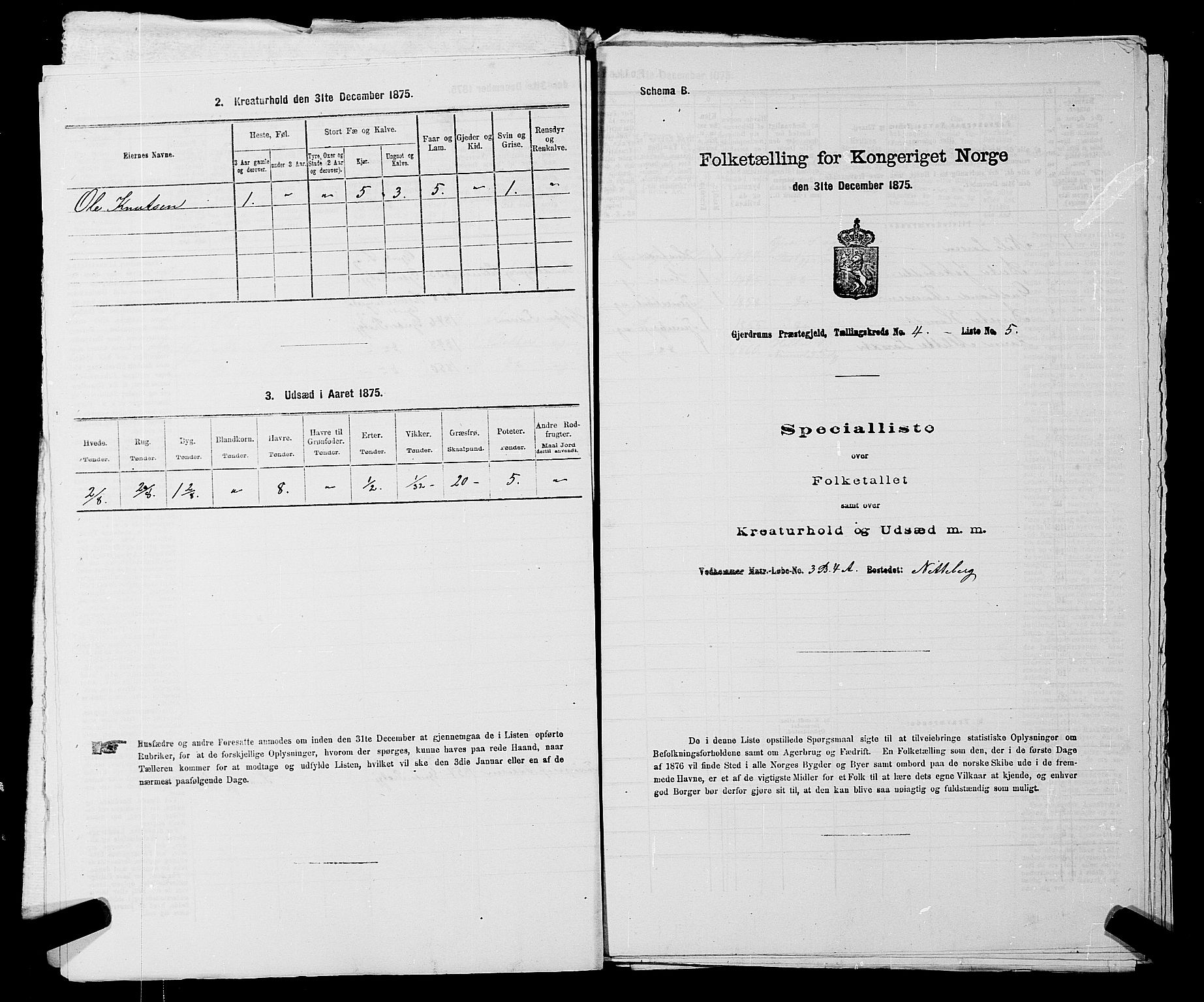 RA, 1875 census for 0234P Gjerdrum, 1875, p. 570