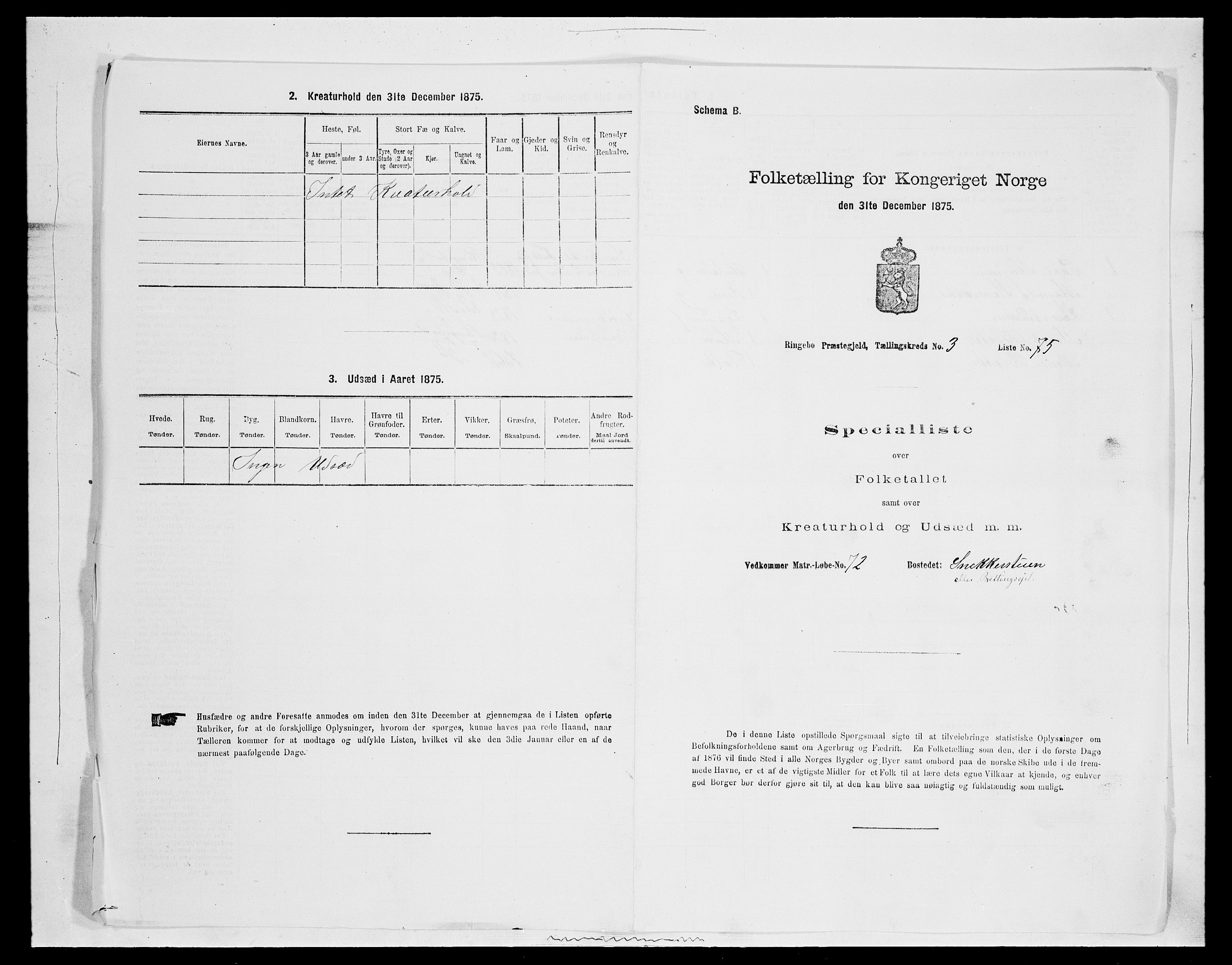 SAH, 1875 census for 0520P Ringebu, 1875, p. 540