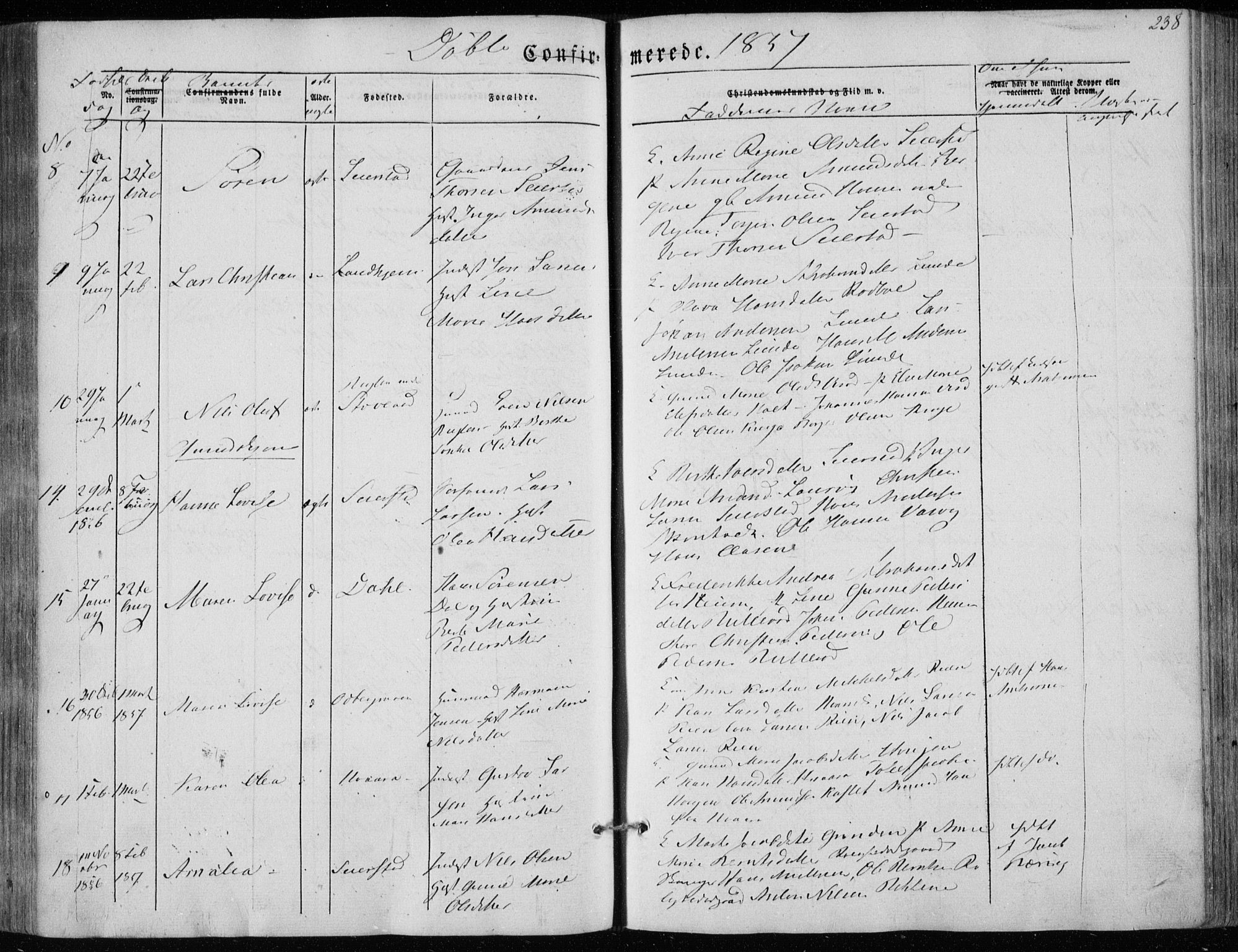 Hedrum kirkebøker, AV/SAKO-A-344/F/Fa/L0006: Parish register (official) no. I 6, 1849-1857, p. 238