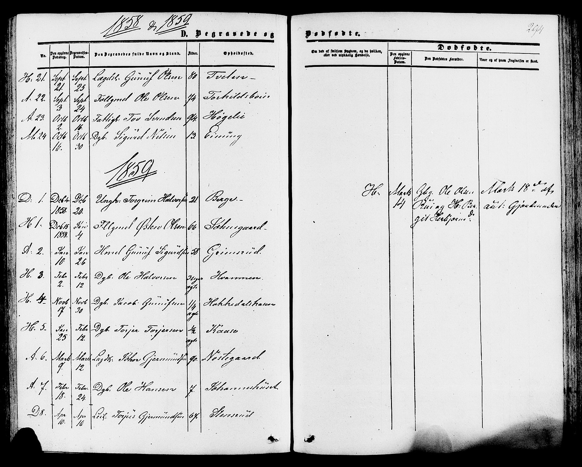Tinn kirkebøker, SAKO/A-308/F/Fa/L0006: Parish register (official) no. I 6, 1857-1878, p. 294
