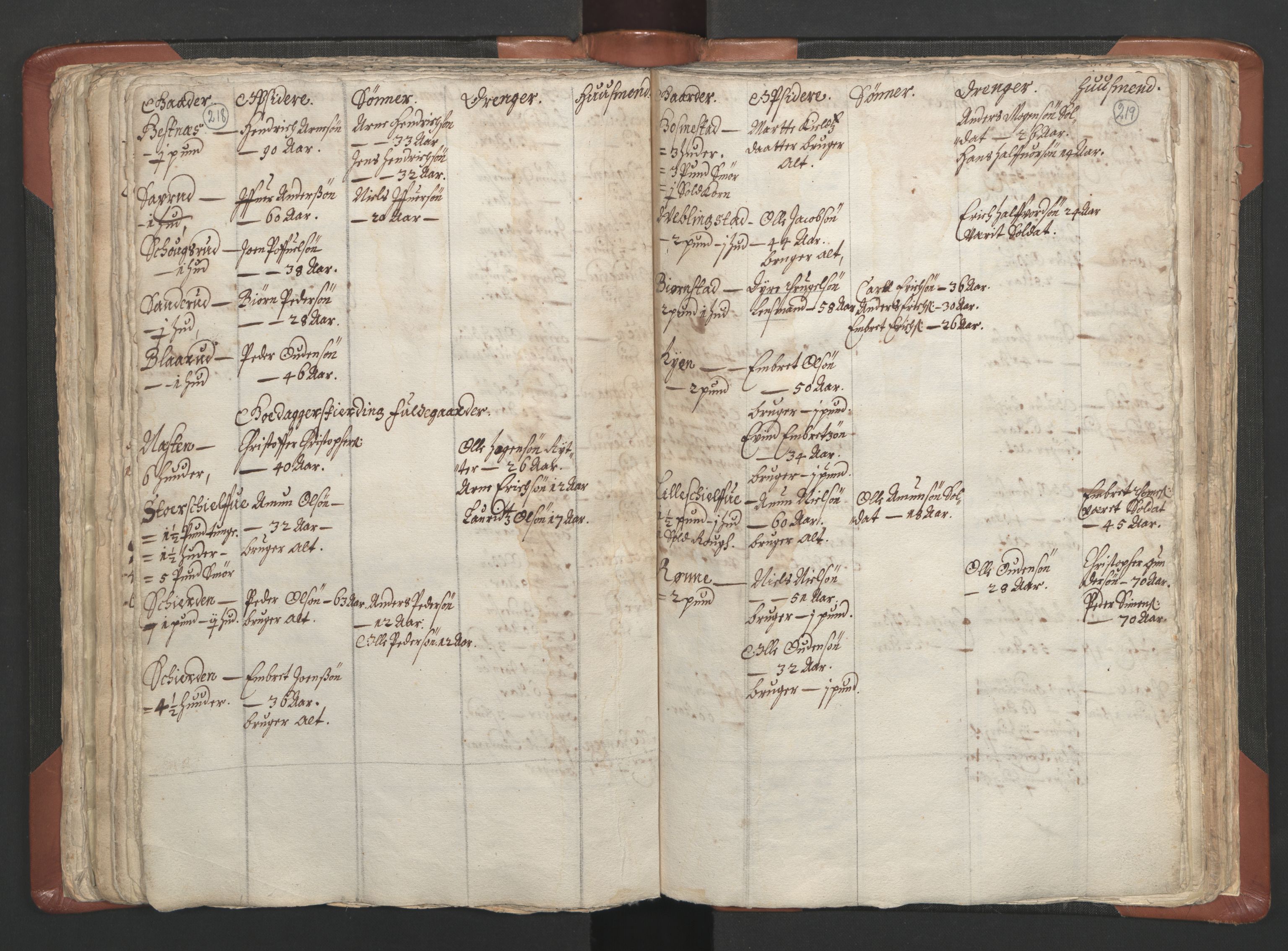 RA, Vicar's Census 1664-1666, no. 5: Hedmark deanery, 1664-1666, p. 218-219