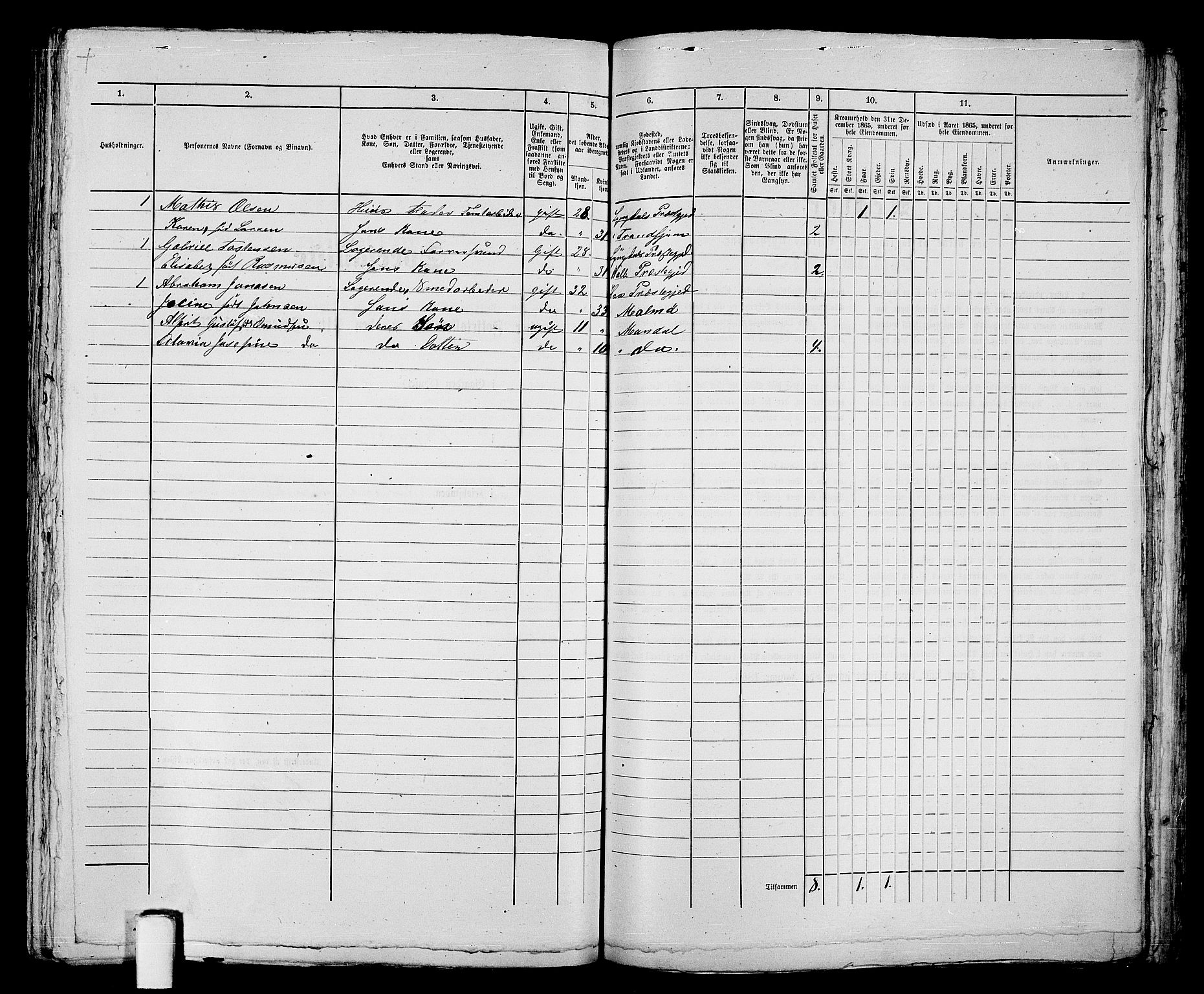 RA, 1865 census for Mandal/Mandal, 1865, p. 367