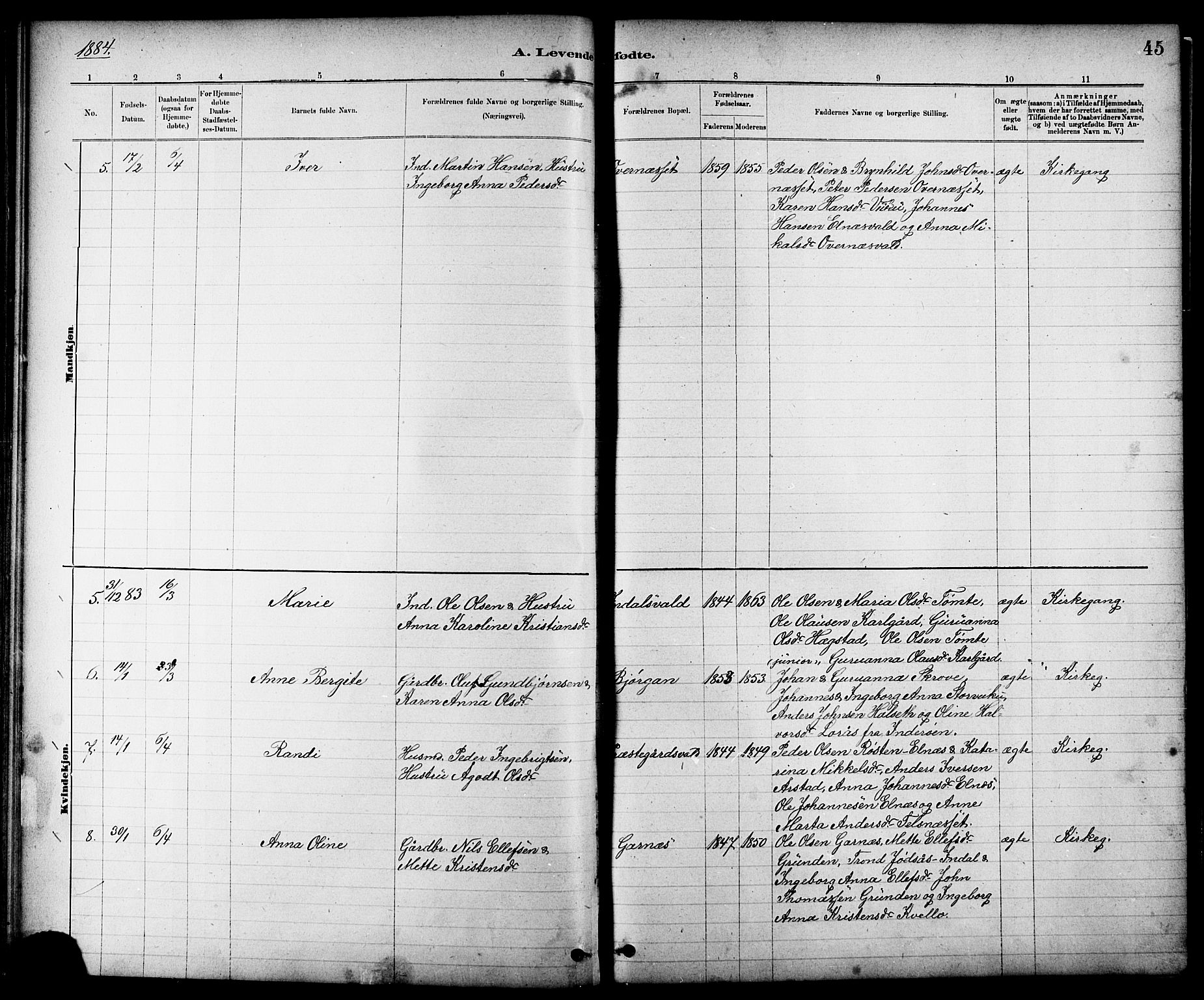 Ministerialprotokoller, klokkerbøker og fødselsregistre - Nord-Trøndelag, AV/SAT-A-1458/724/L0267: Parish register (copy) no. 724C03, 1879-1898, p. 45