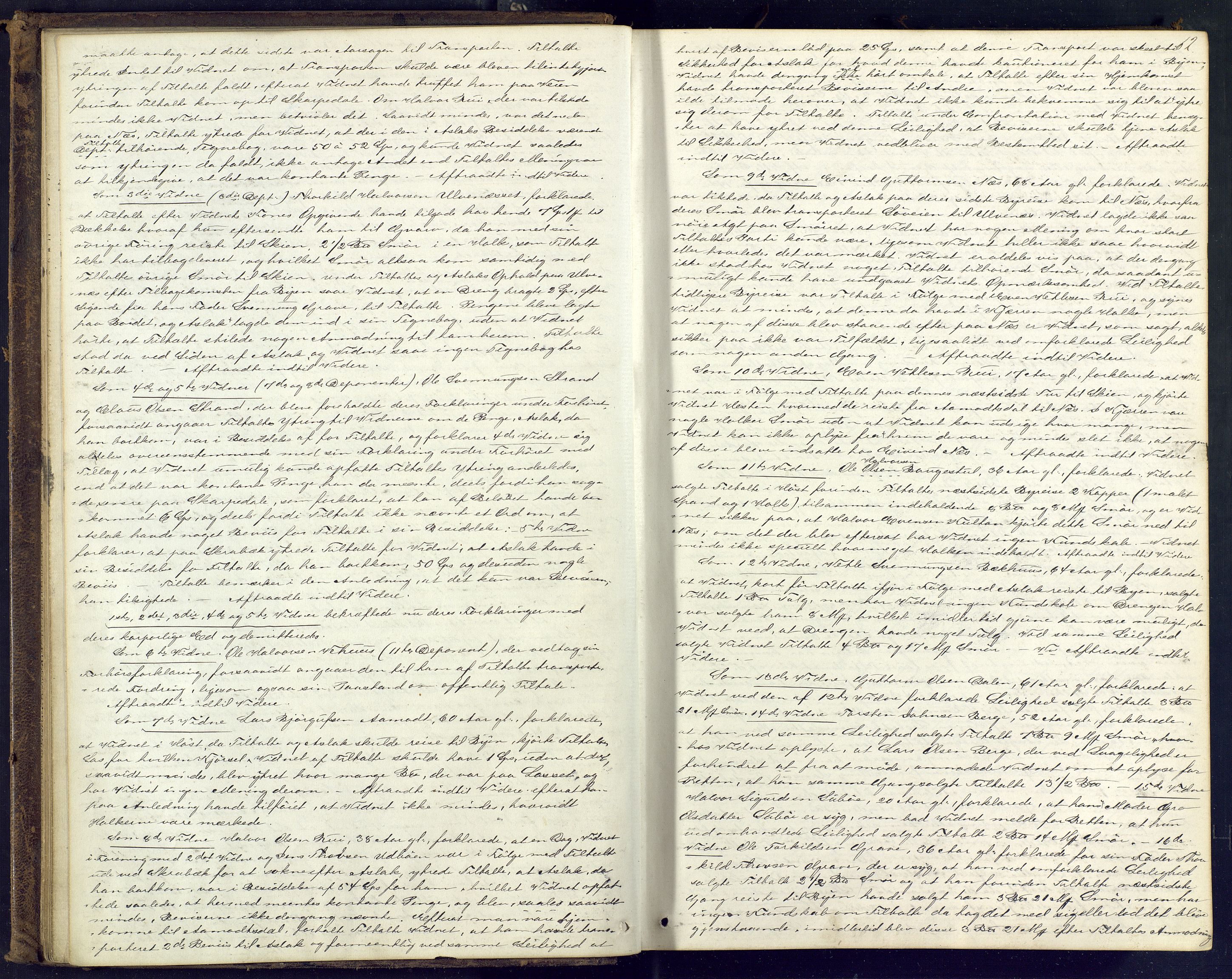 Øvre Telemark østfjelske sorenskriveri, AV/SAKO-A-213/F/Fc/Fcb/L0008: Ekstrarettsprotokoll, straffesaker, 1871-1880, p. 12