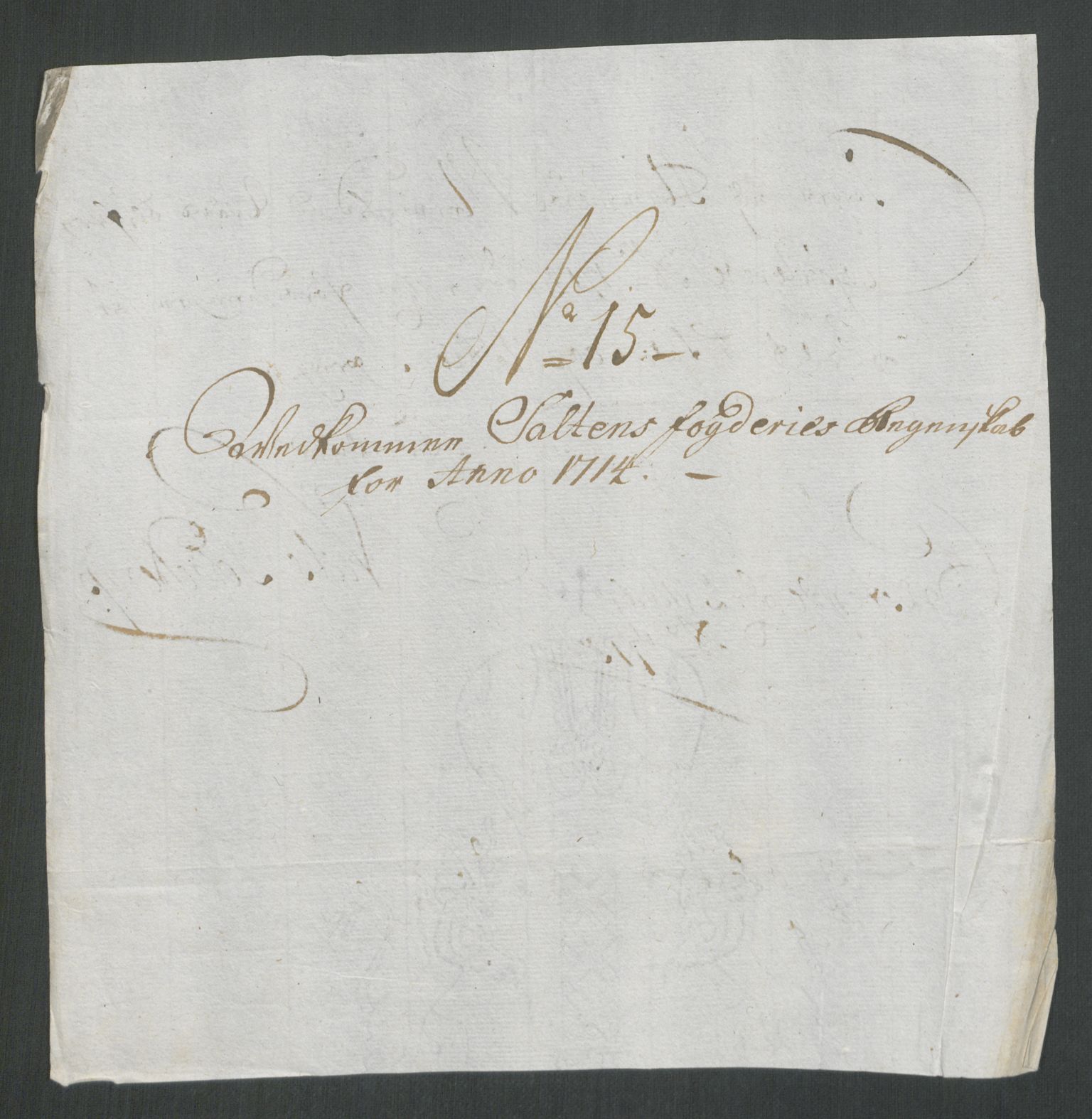 Rentekammeret inntil 1814, Reviderte regnskaper, Fogderegnskap, RA/EA-4092/R66/L4584: Fogderegnskap Salten, 1714, p. 115