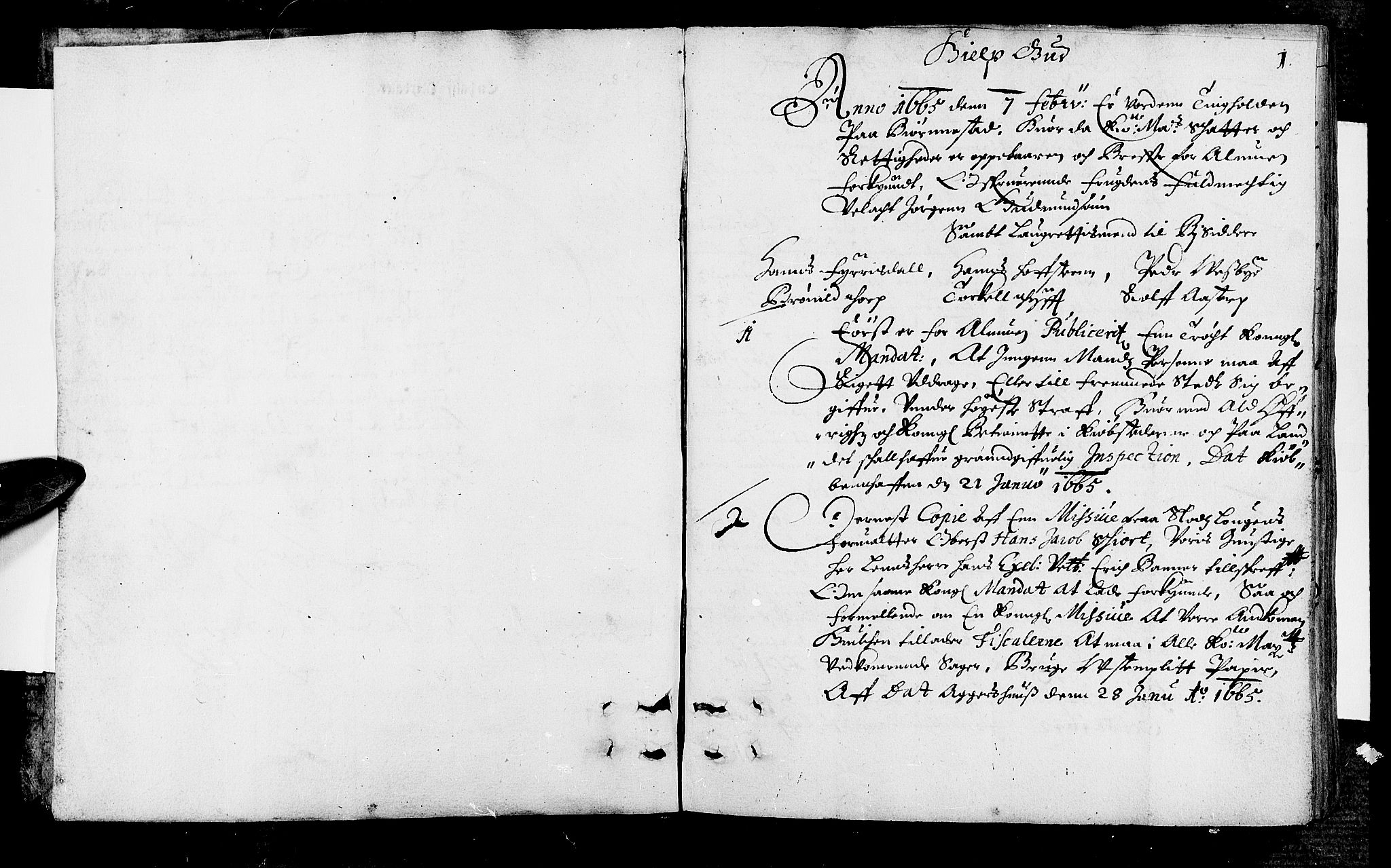 Rakkestad sorenskriveri, SAO/A-10686/F/Fb/L0001: Tingbøker, 1665, p. 0b-1a