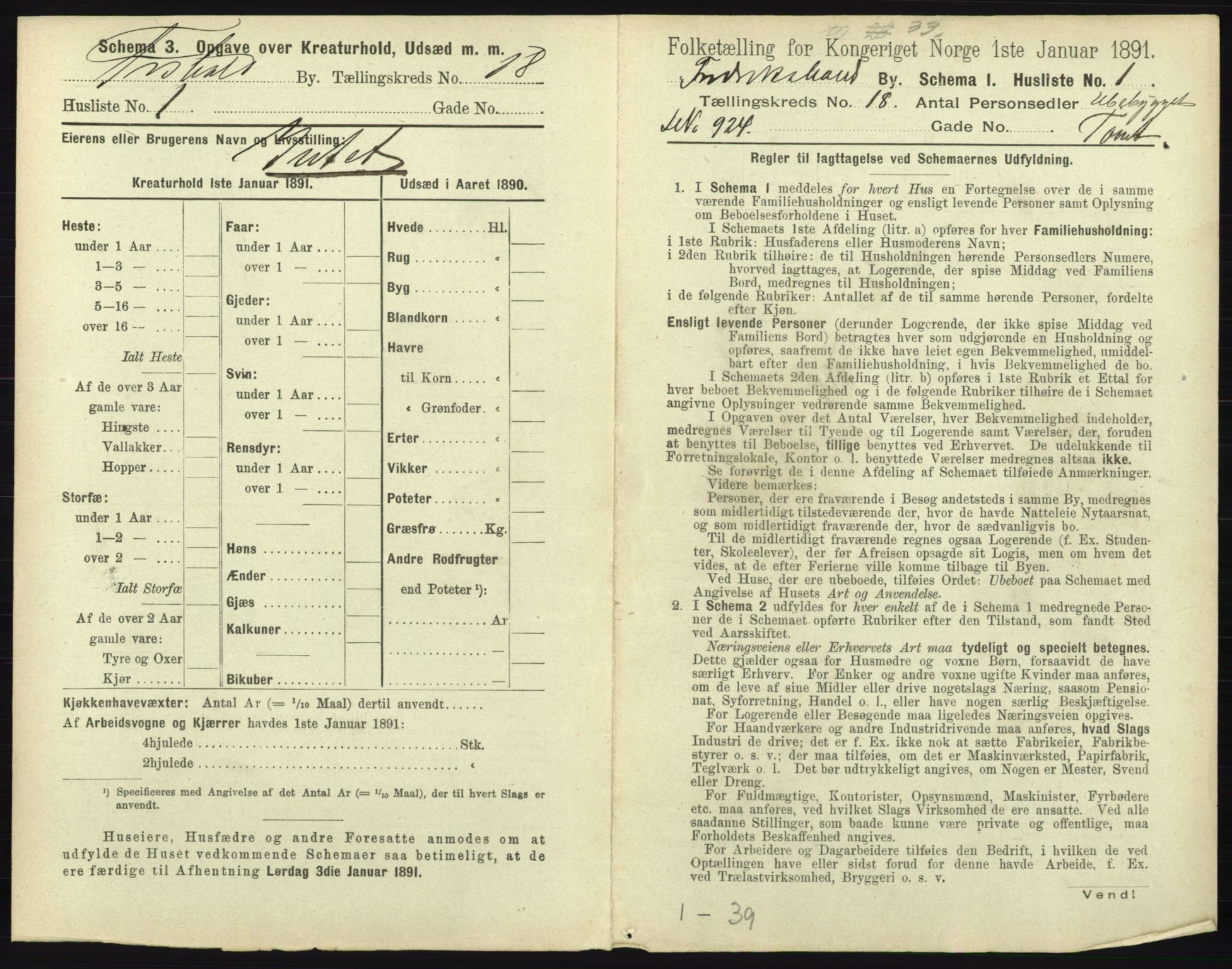 RA, 1891 census for 0101 Fredrikshald, 1891, p. 1594