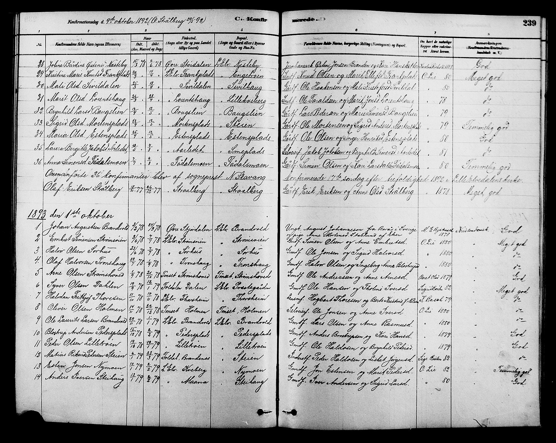 Alvdal prestekontor, SAH/PREST-060/H/Ha/Hab/L0003: Parish register (copy) no. 3, 1878-1907, p. 239