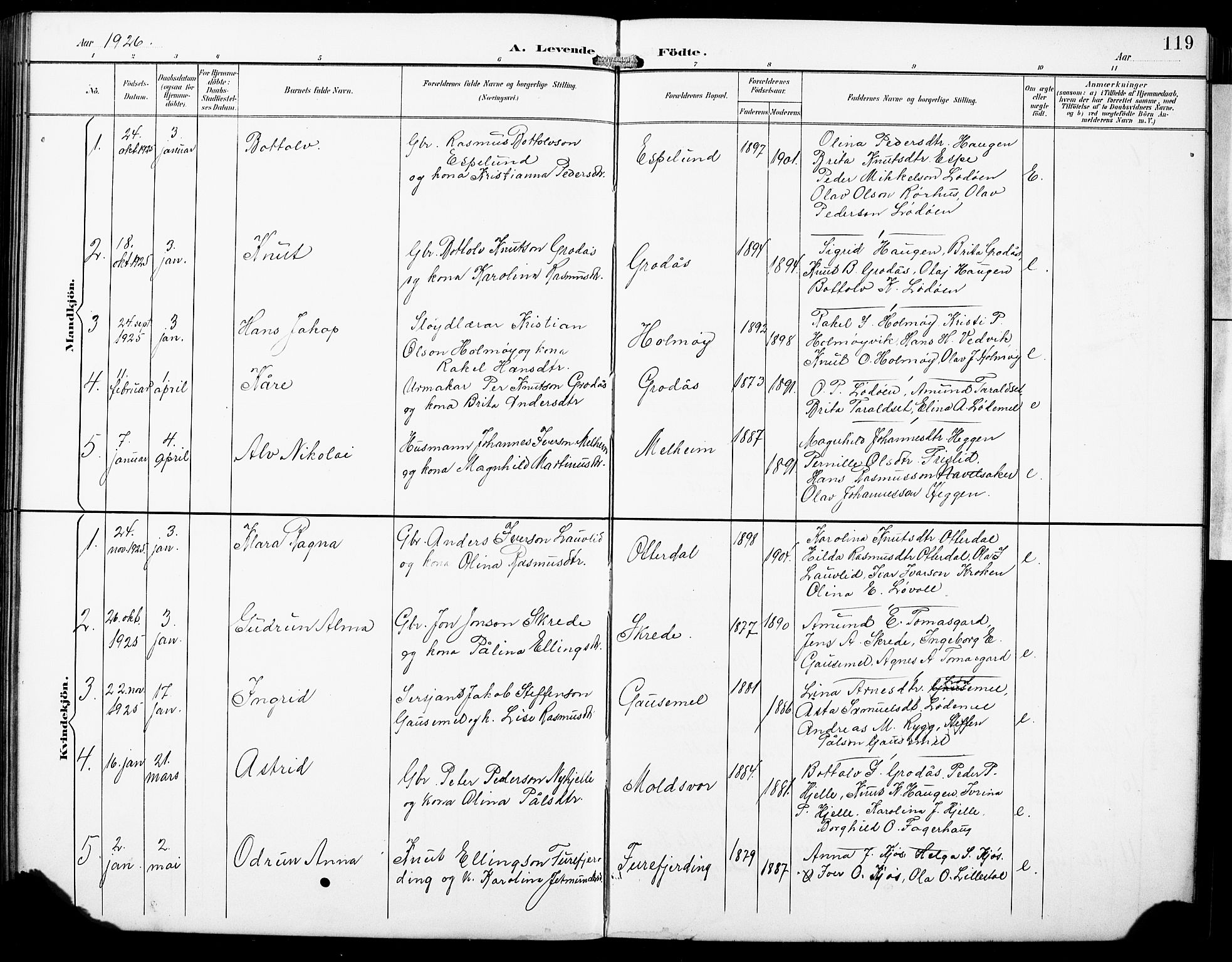 Hornindal sokneprestembete, SAB/A-82401/H/Hab: Parish register (copy) no. A 2, 1894-1927, p. 119