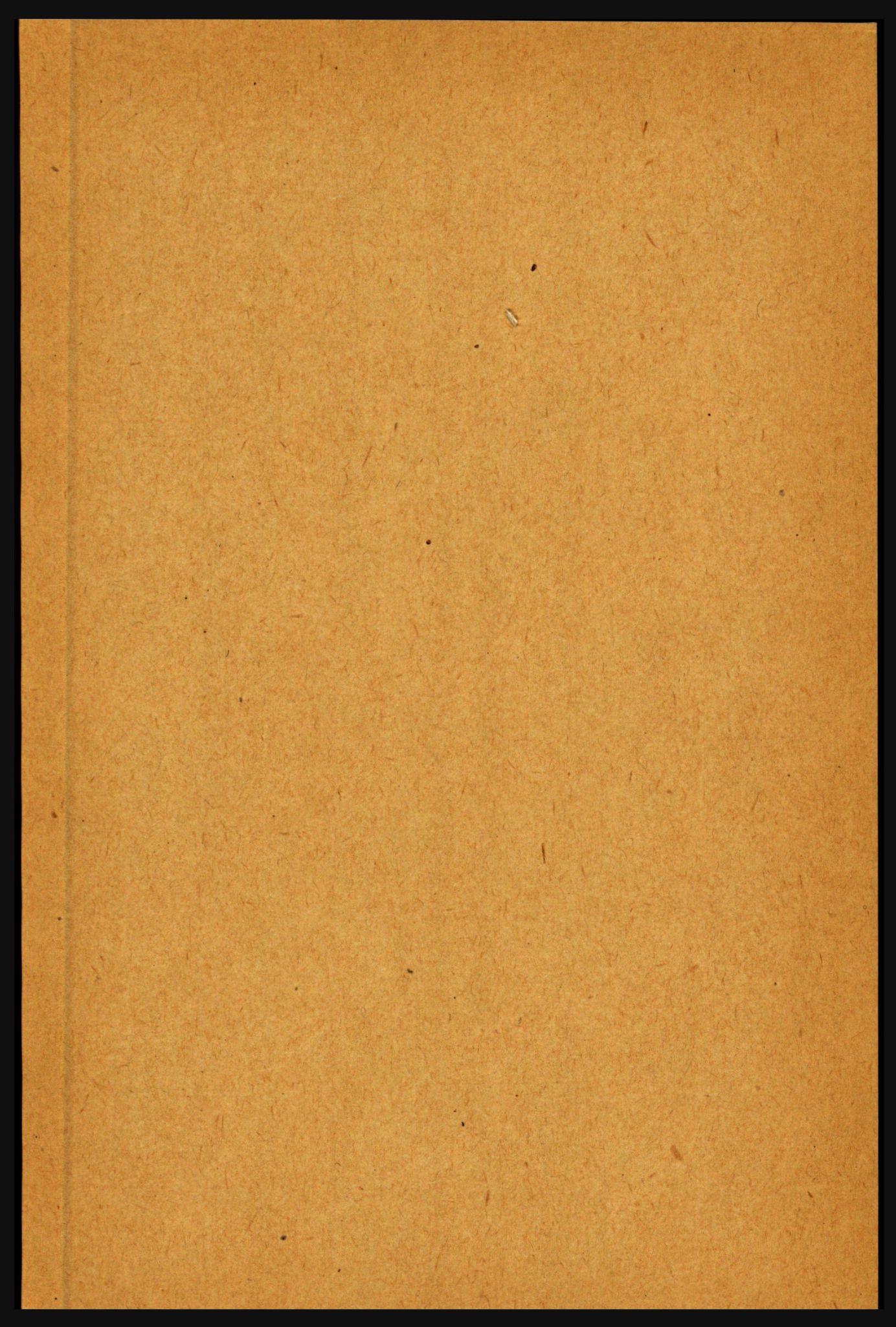 RA, 1891 census for 1423 Borgund, 1891, p. 561