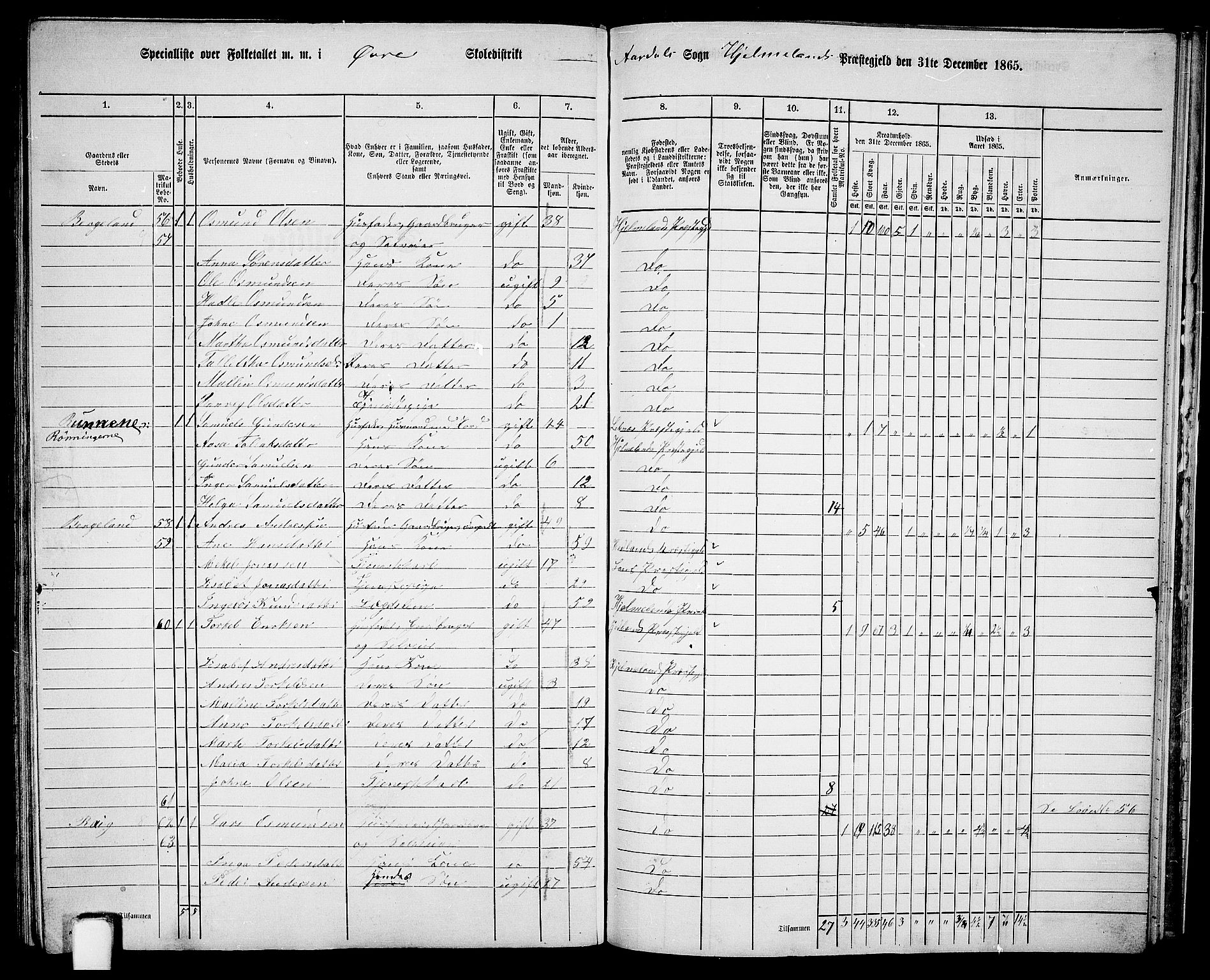 RA, 1865 census for Hjelmeland, 1865, p. 170