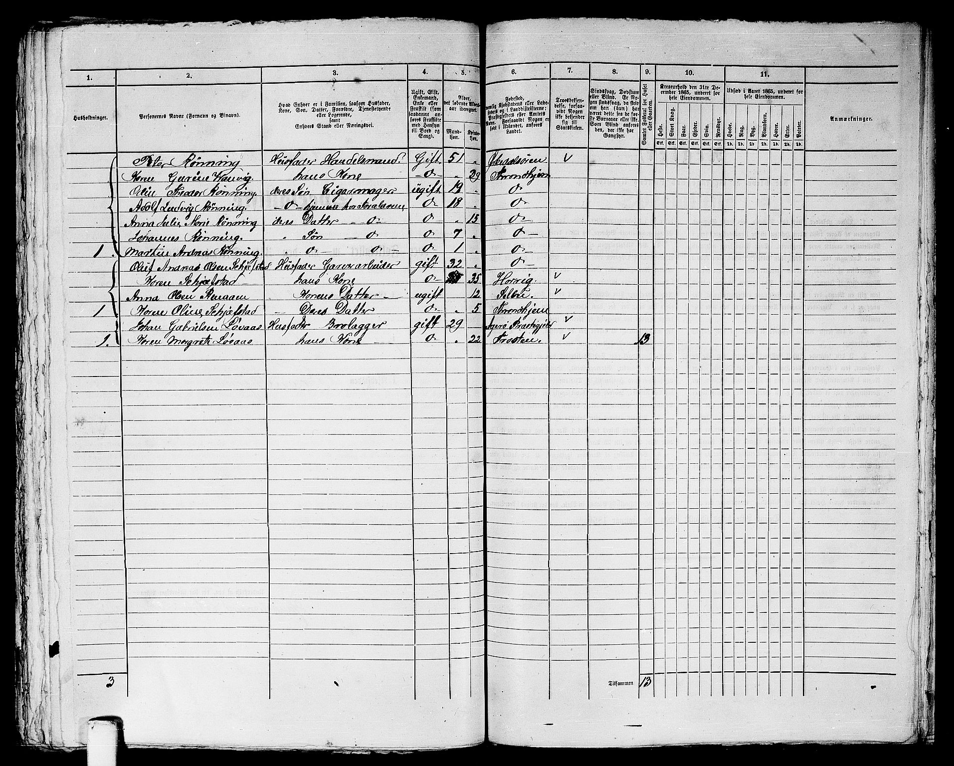 RA, 1865 census for Trondheim, 1865, p. 1516