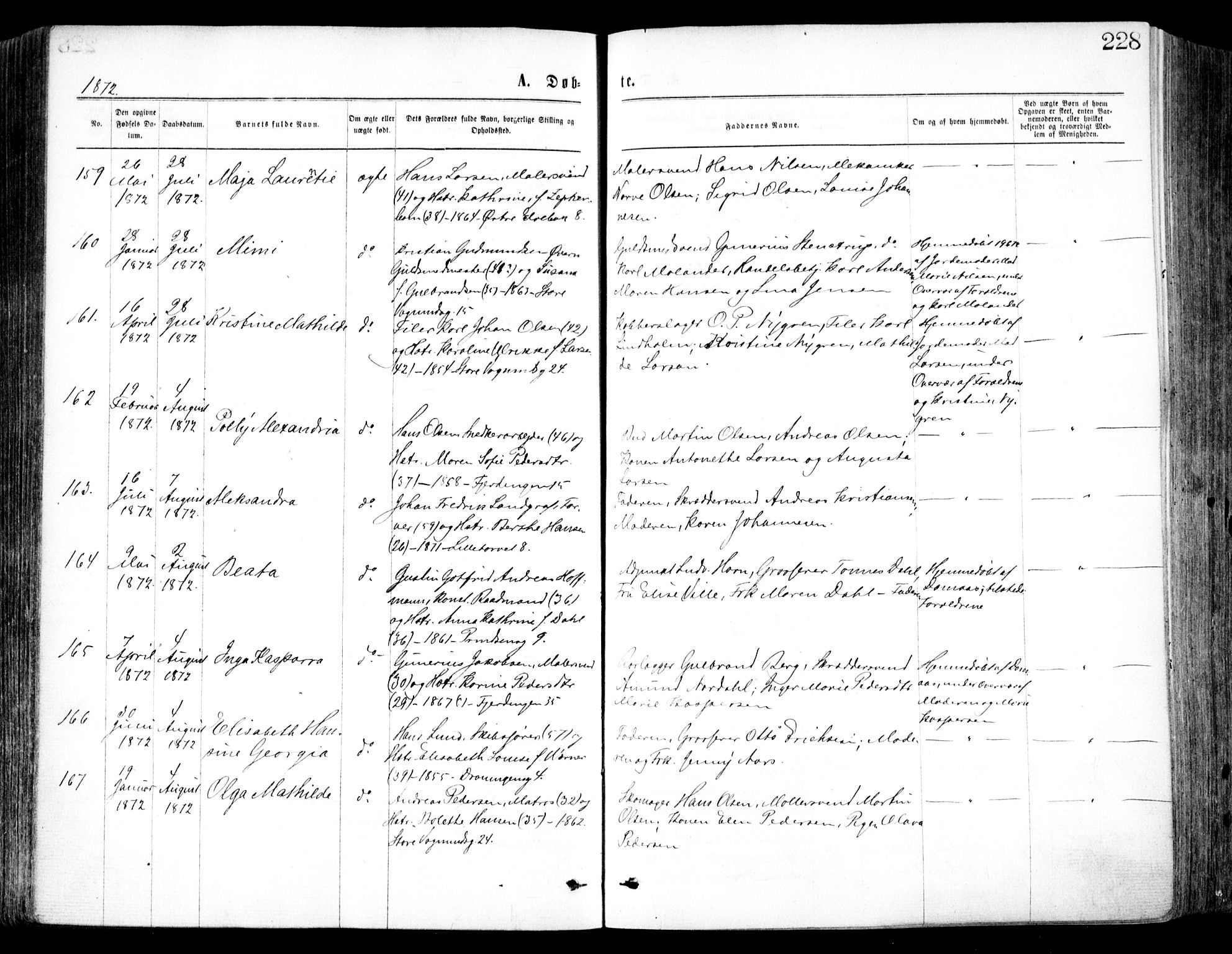 Oslo domkirke Kirkebøker, SAO/A-10752/F/Fa/L0017: Parish register (official) no. 17, 1869-1878, p. 228