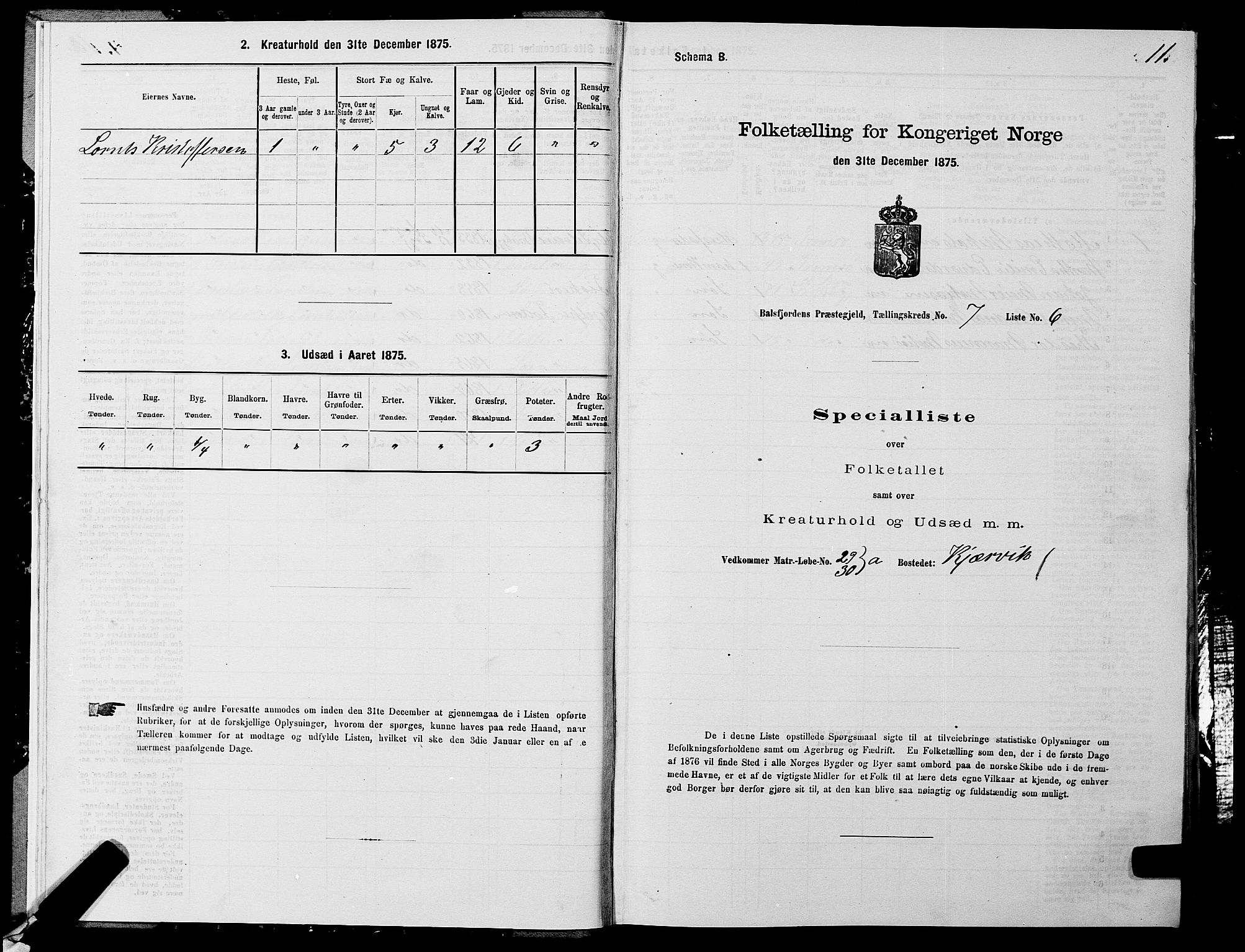 SATØ, 1875 census for 1933P Balsfjord, 1875, p. 4011