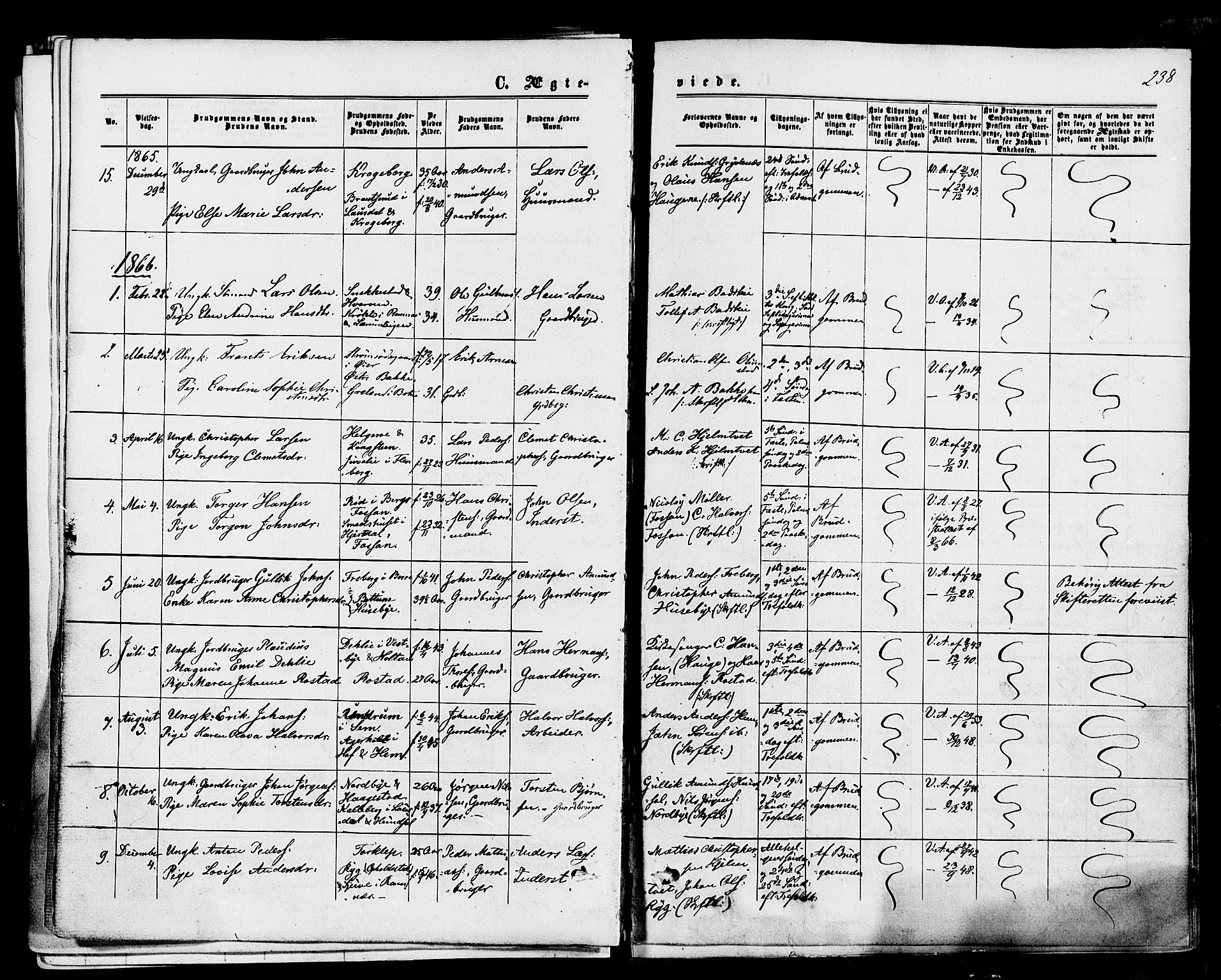 Våle kirkebøker, SAKO/A-334/F/Fa/L0010: Parish register (official) no. I 10, 1861-1877, p. 238