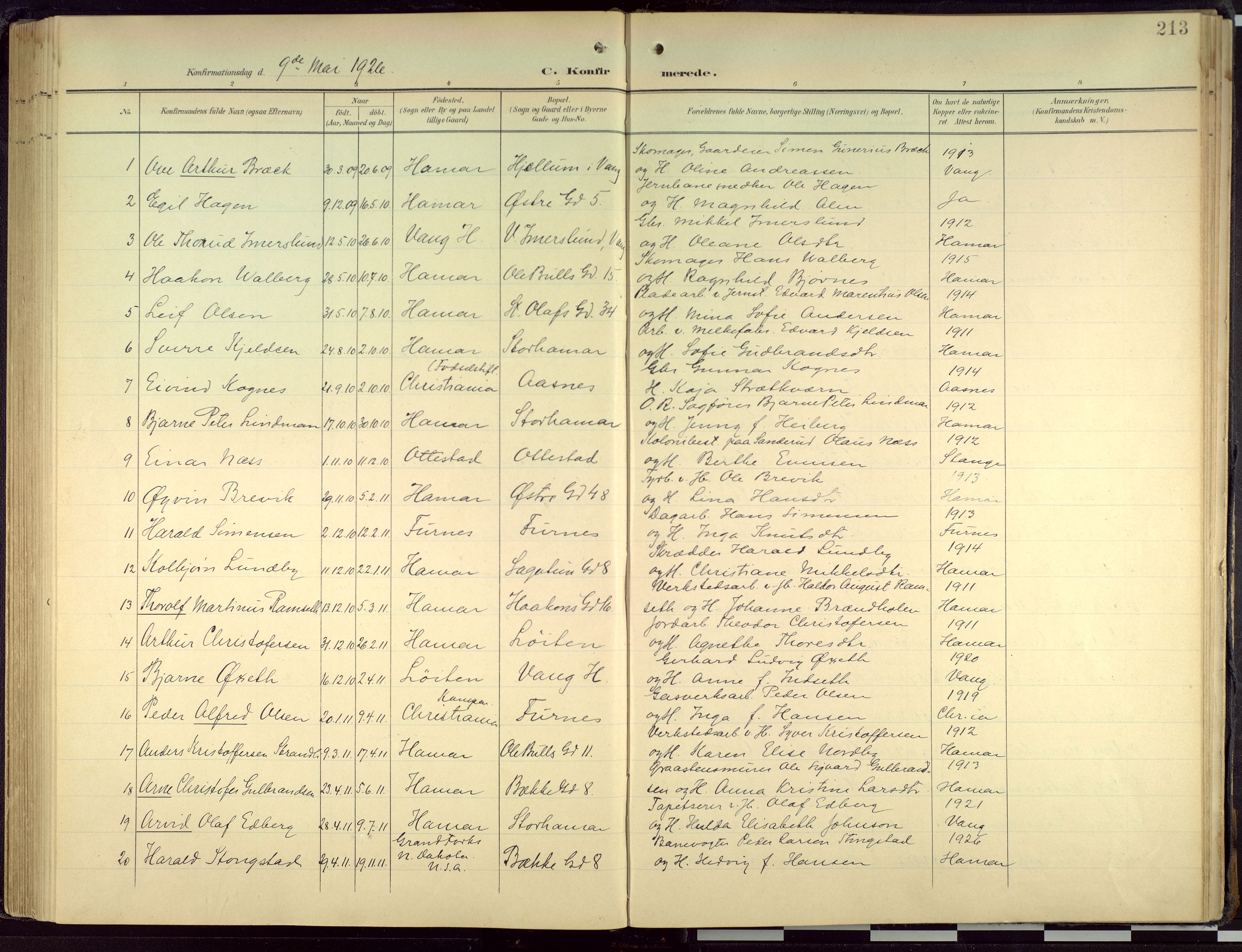 Hamar prestekontor, AV/SAH-DOMPH-002/H/Ha/Haa/L0004: Parish register (official) no. 4, 1899-1973, p. 213