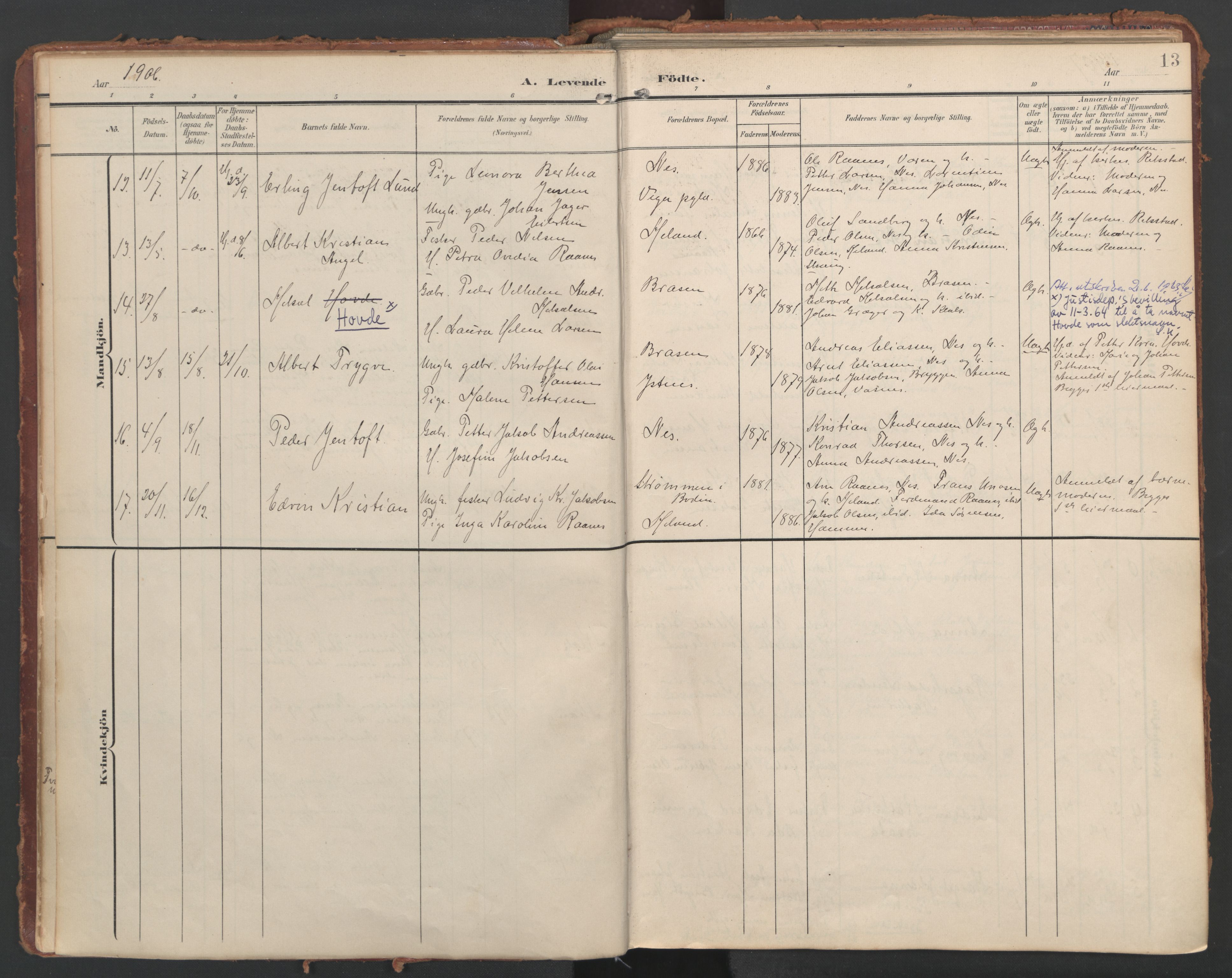 Ministerialprotokoller, klokkerbøker og fødselsregistre - Nordland, AV/SAT-A-1459/808/L0129: Parish register (official) no. 808A02, 1903-1931, p. 13