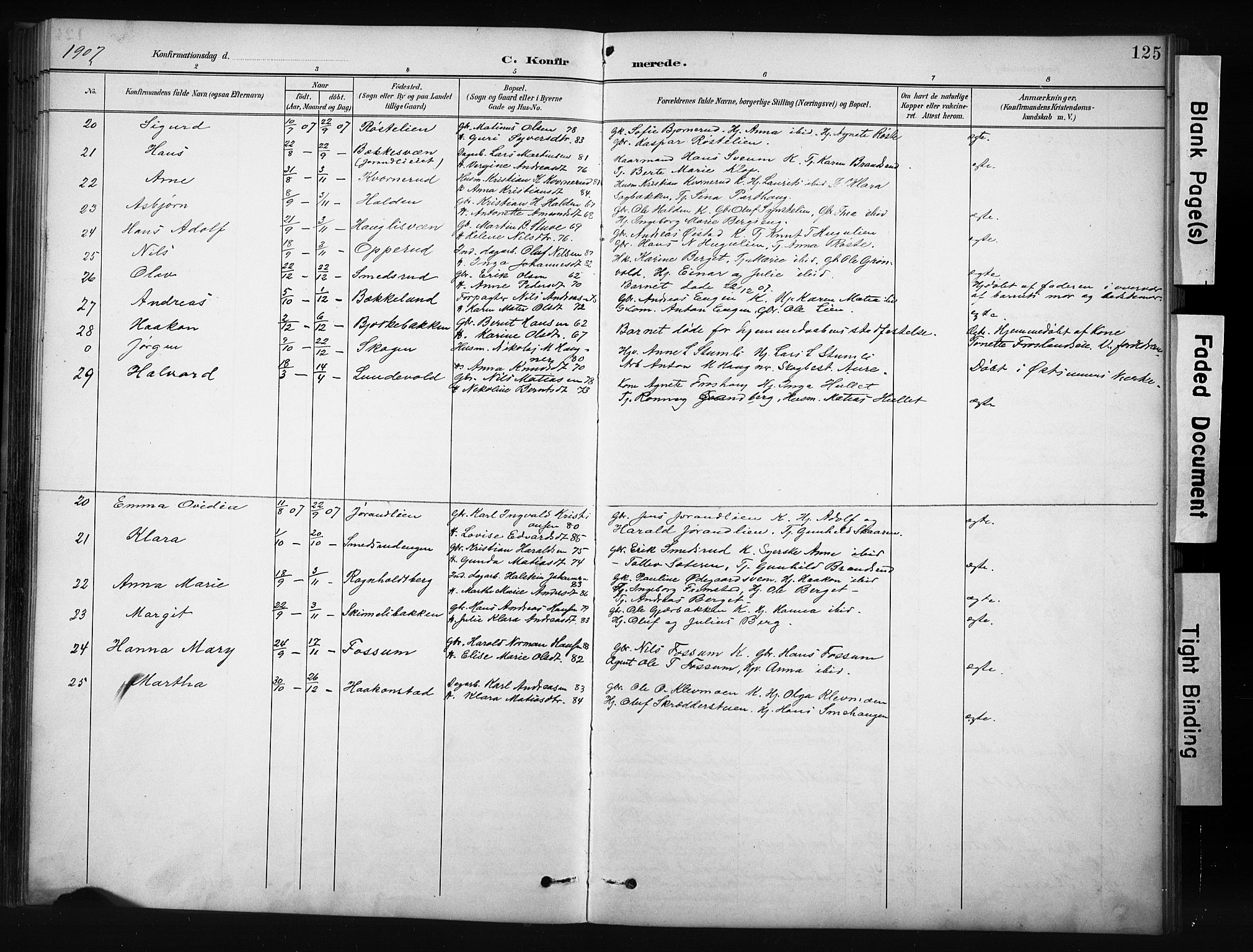 Nordre Land prestekontor, AV/SAH-PREST-124/H/Ha/Hab/L0012: Parish register (copy) no. 12, 1891-1909, p. 125