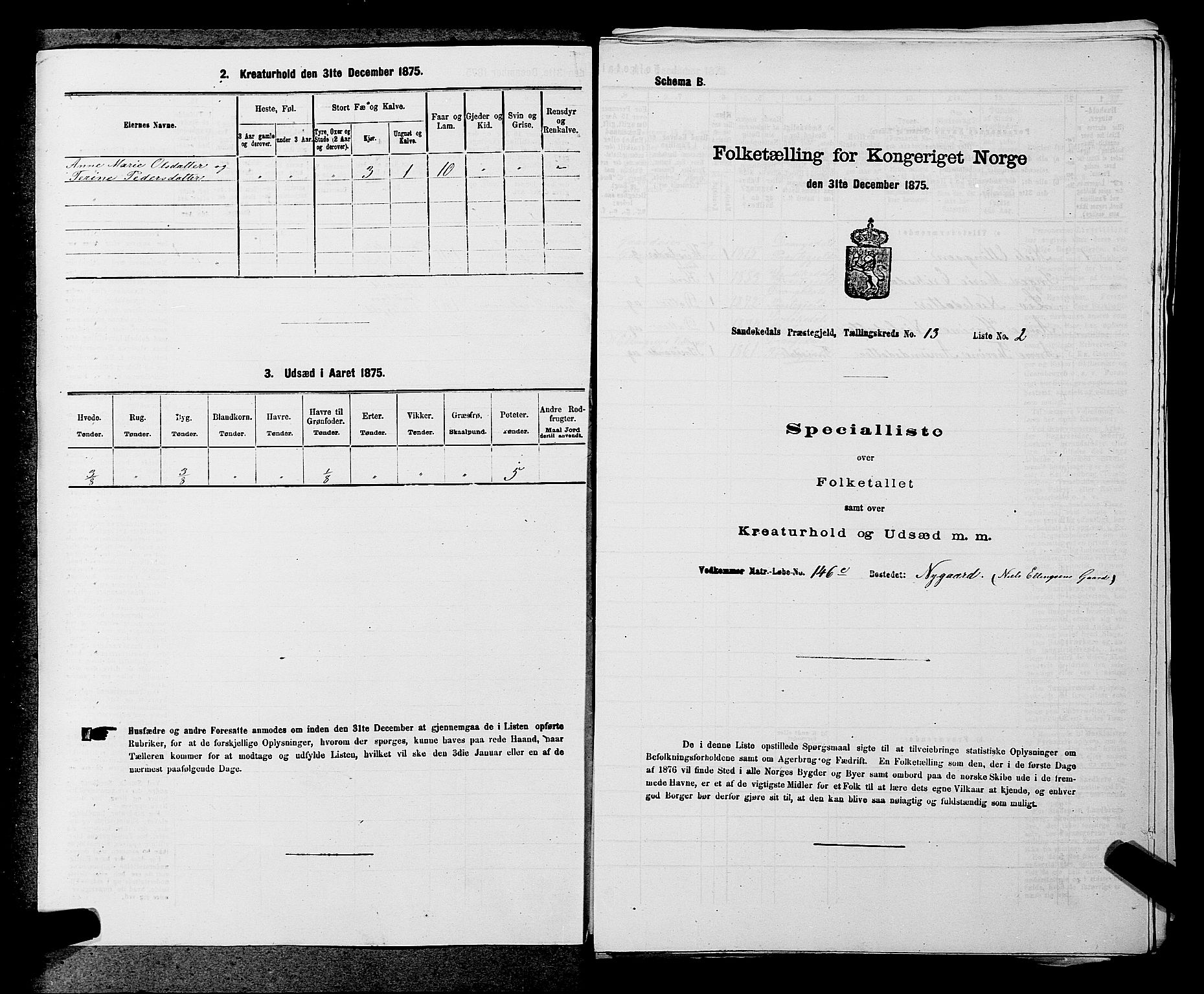 SAKO, 1875 census for 0816P Sannidal, 1875, p. 866