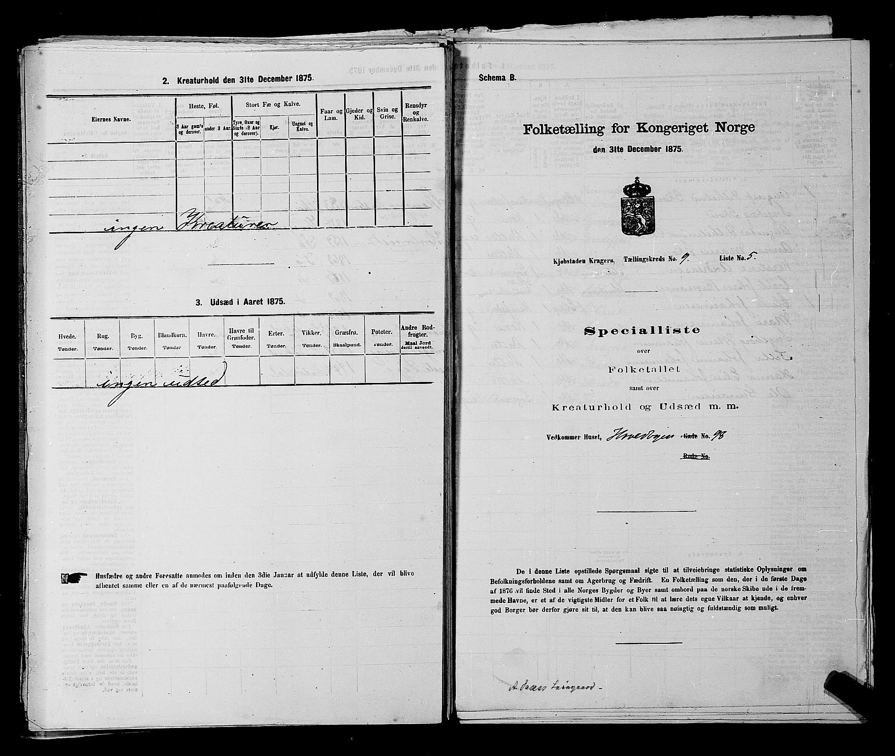 SAKO, 1875 census for 0801P Kragerø, 1875, p. 200