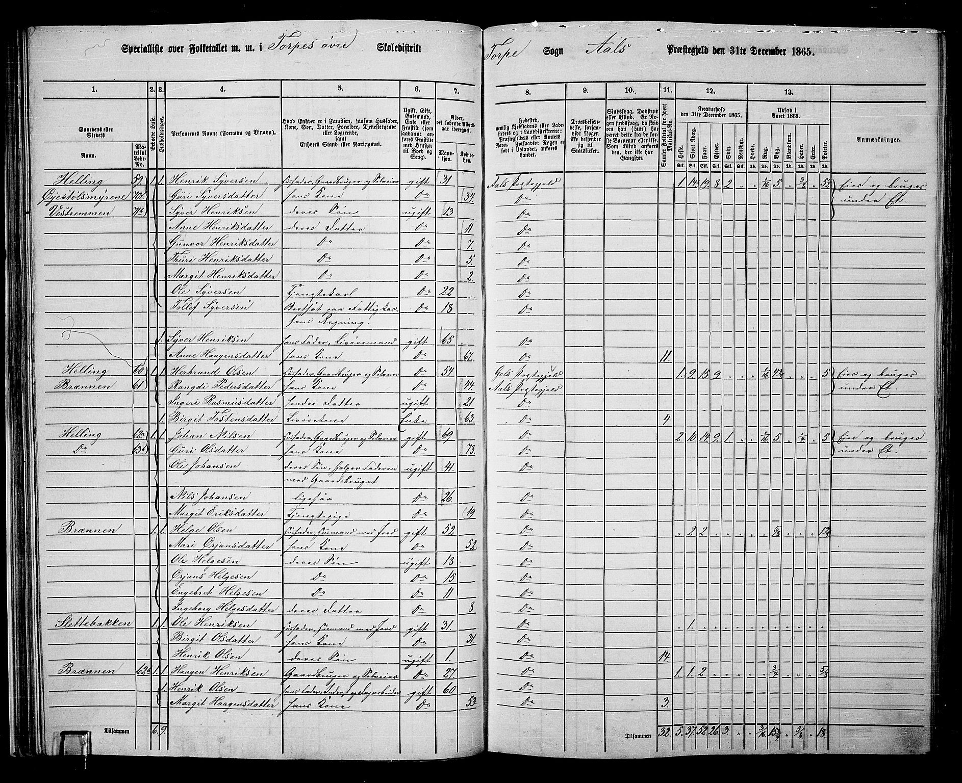 RA, 1865 census for Ål, 1865, p. 45