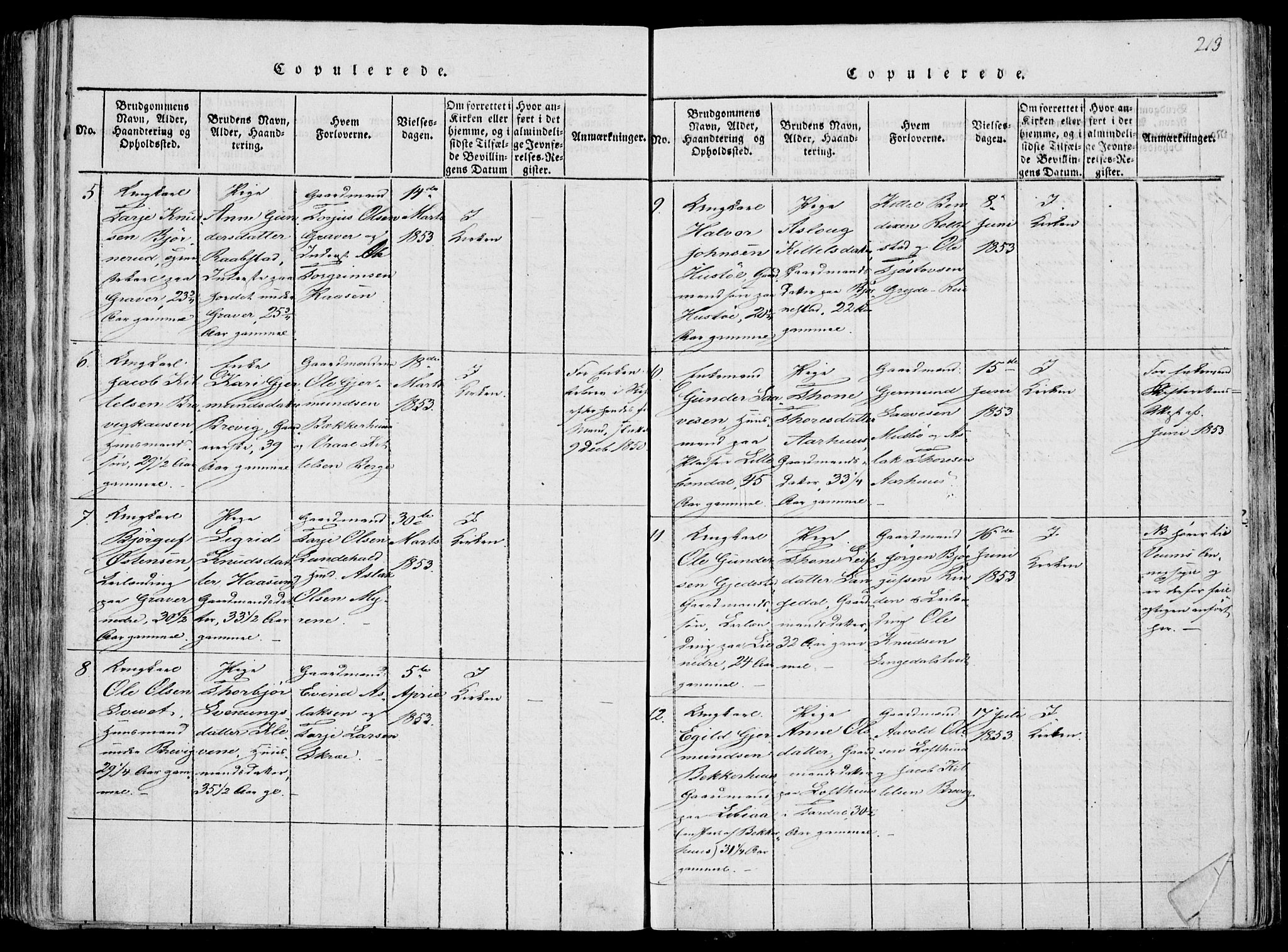Fyresdal kirkebøker, SAKO/A-263/F/Fa/L0004: Parish register (official) no. I 4, 1815-1854, p. 213