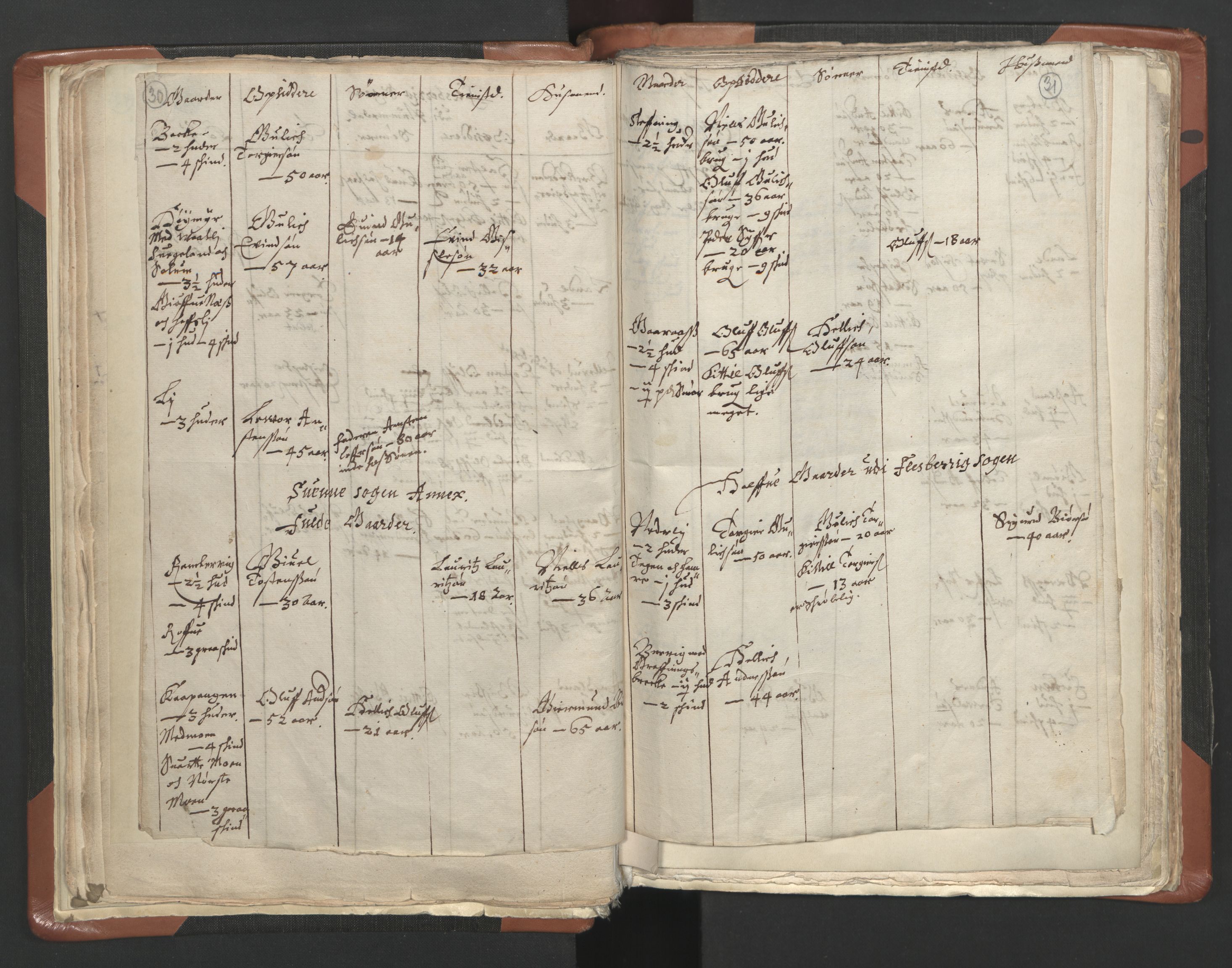 RA, Vicar's Census 1664-1666, no. 10: Tønsberg deanery, 1664-1666, p. 30-31