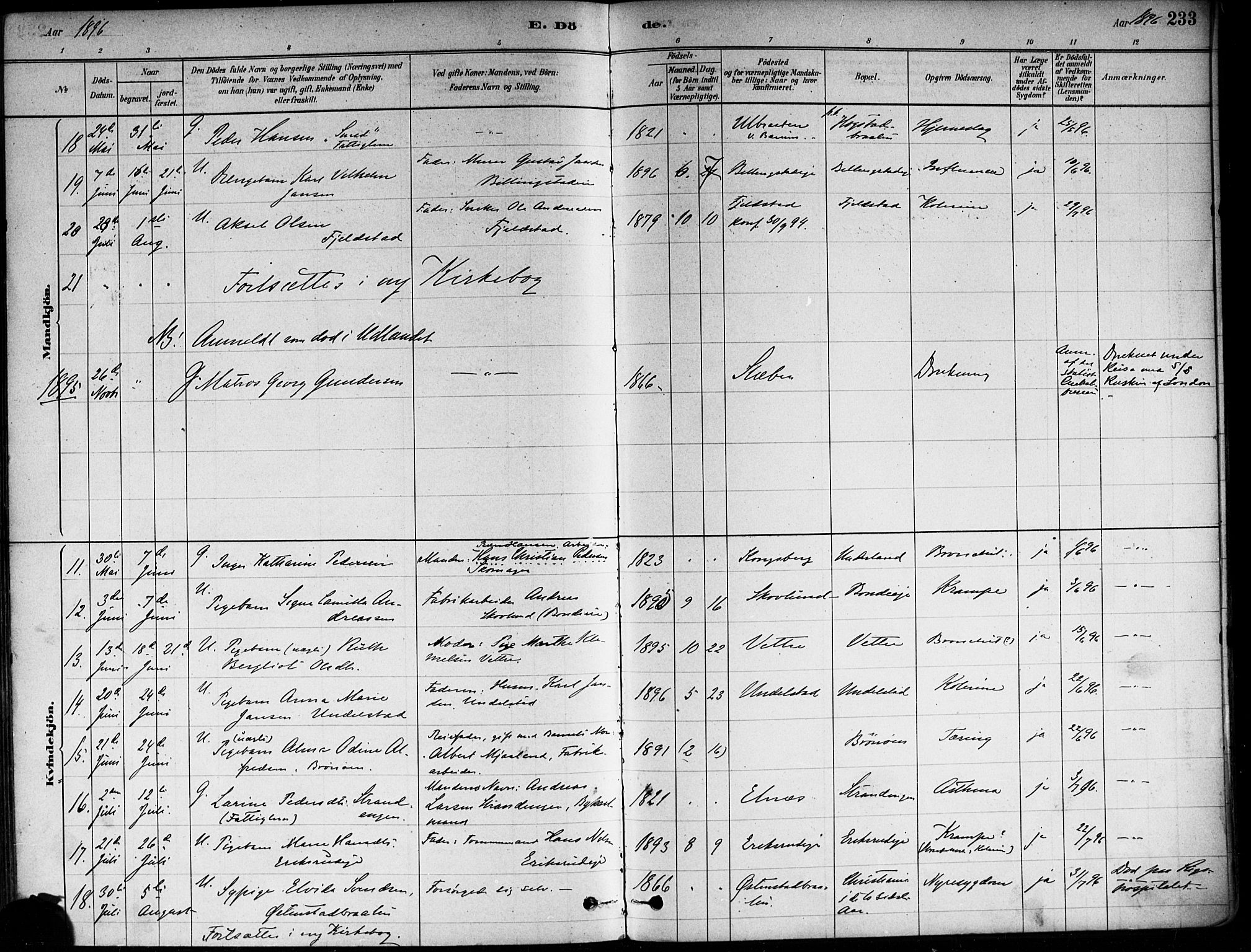 Asker prestekontor Kirkebøker, AV/SAO-A-10256a/F/Fa/L0013: Parish register (official) no. I 13, 1879-1896, p. 233