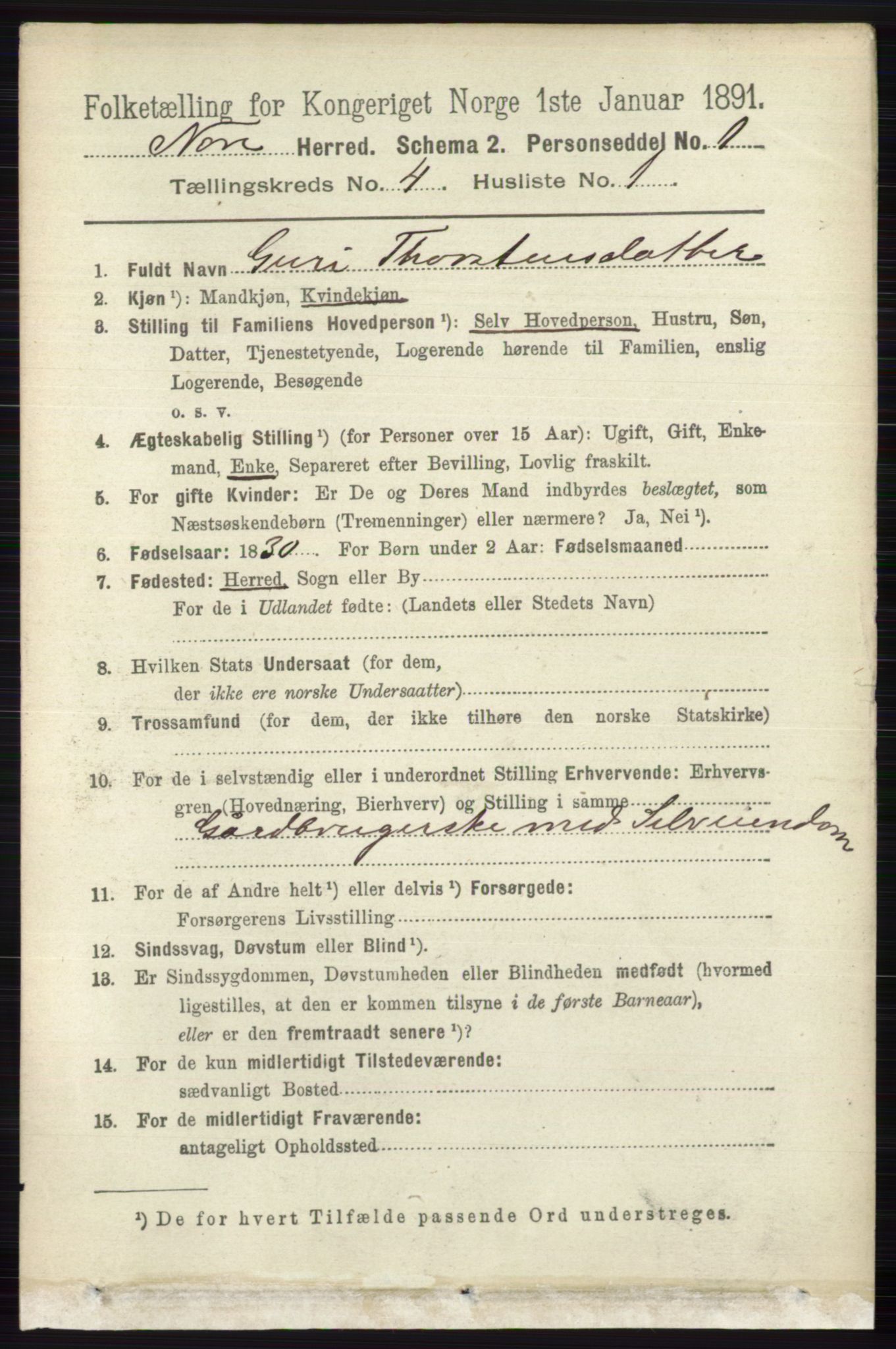 RA, 1891 census for 0633 Nore, 1891, p. 1265