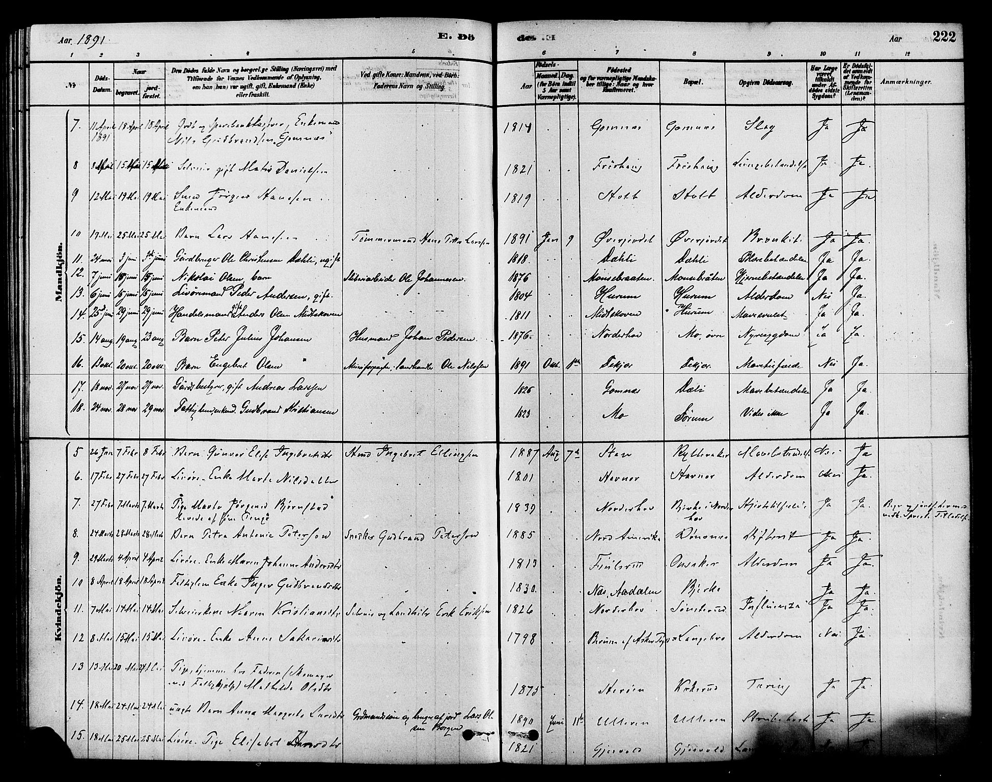 Hole kirkebøker, SAKO/A-228/F/Fa/L0008: Parish register (official) no. I 8, 1878-1891, p. 222